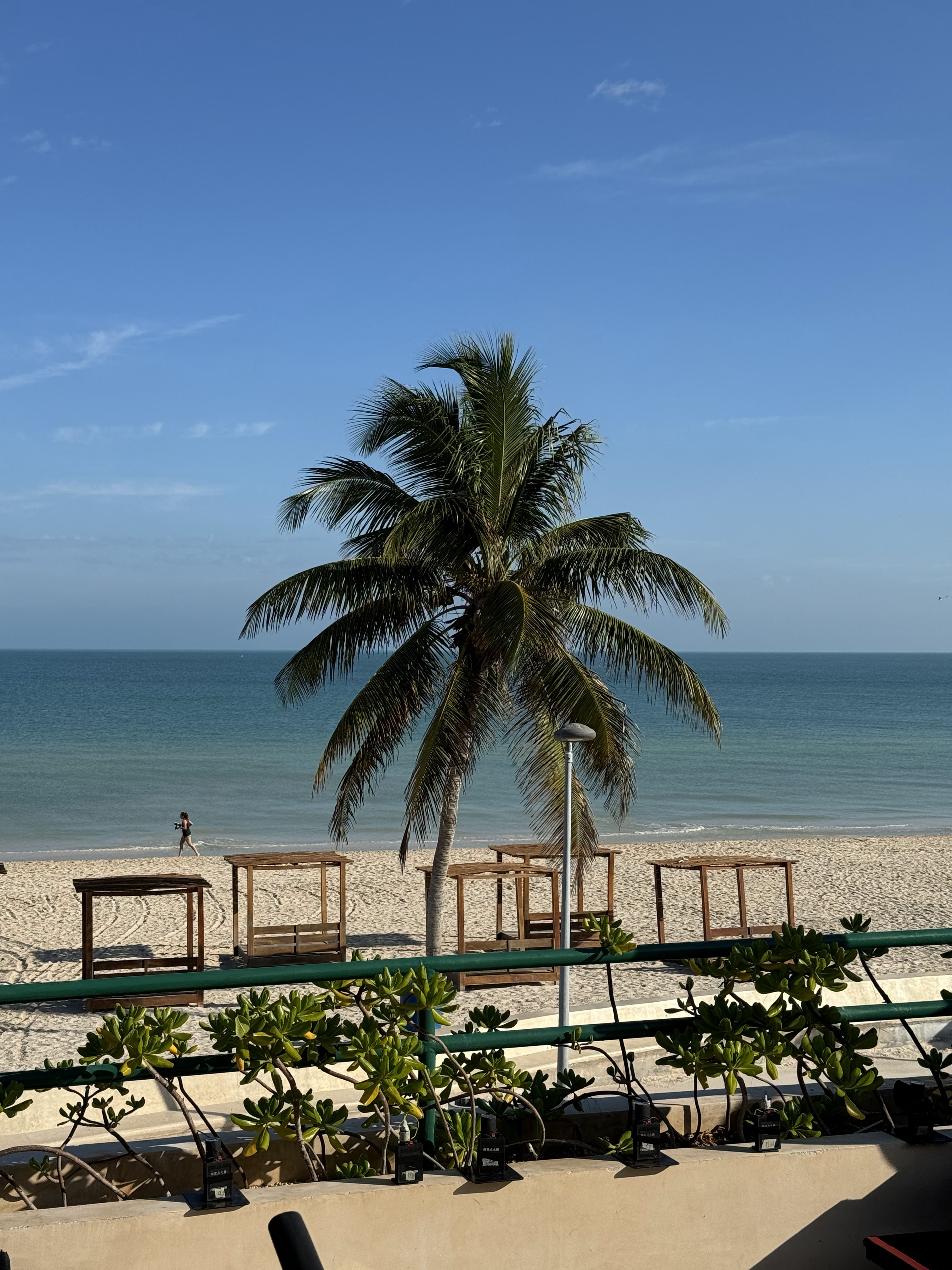 Scappata restaurant image 6