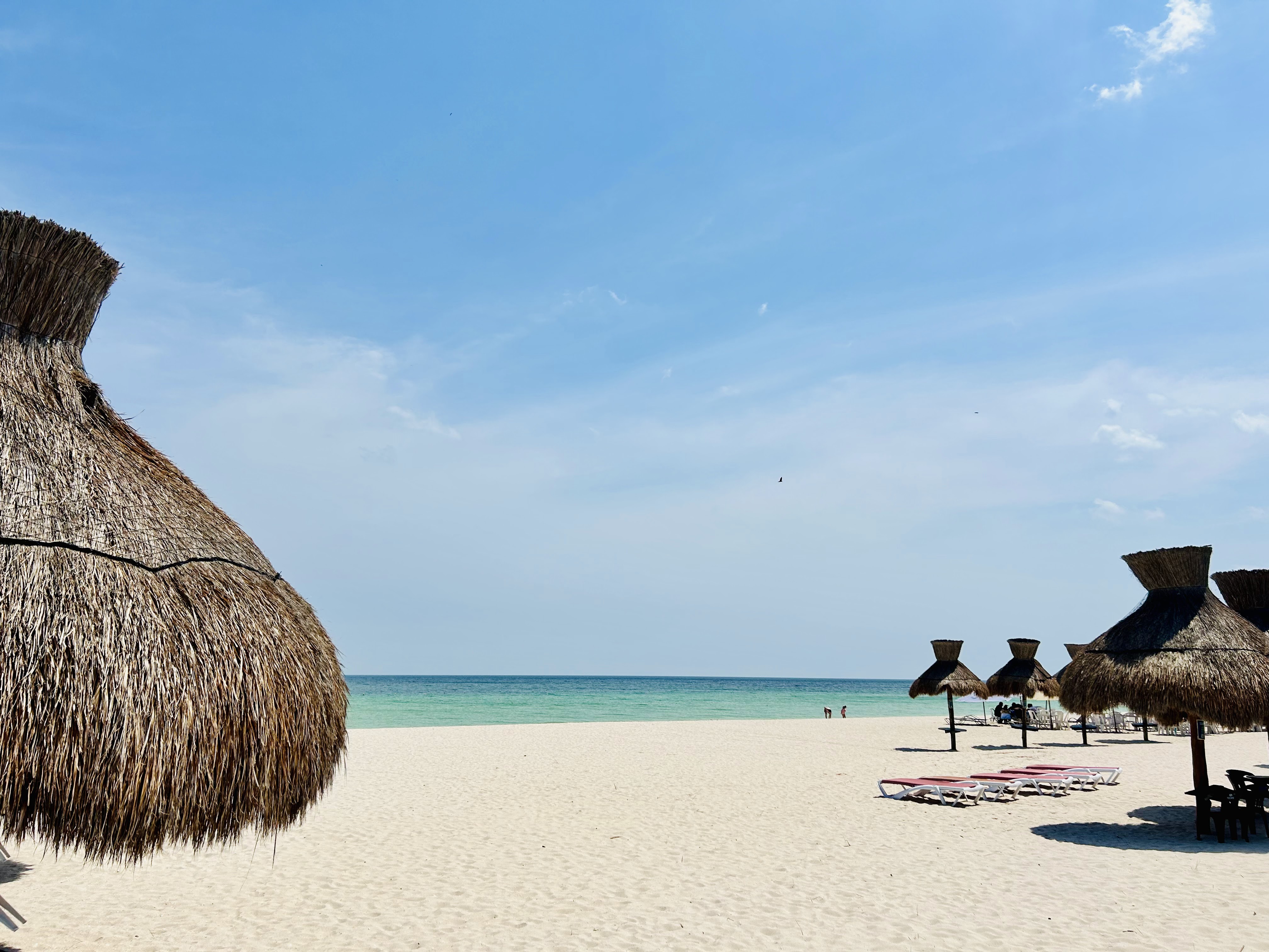 Crabster Seafood & Grill image 4