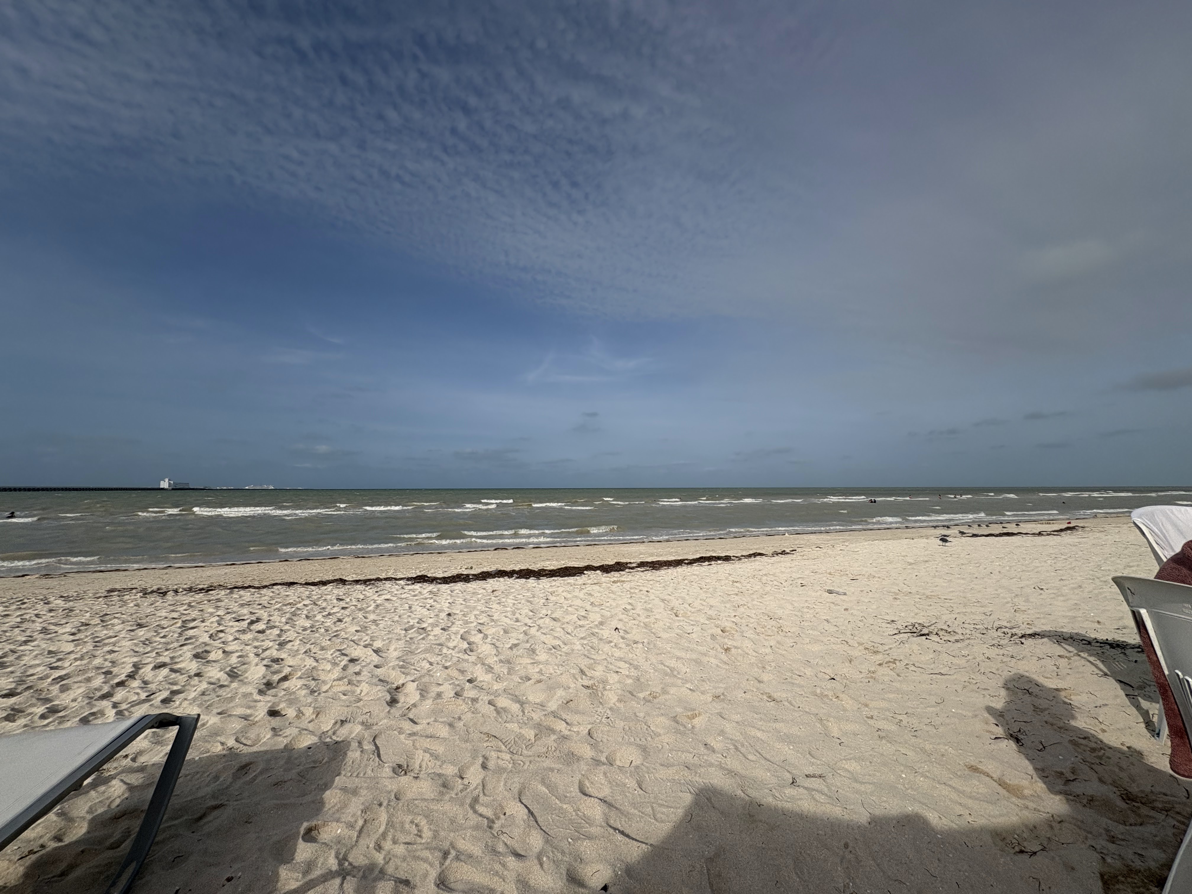 Crabster Seafood & Grill image 9