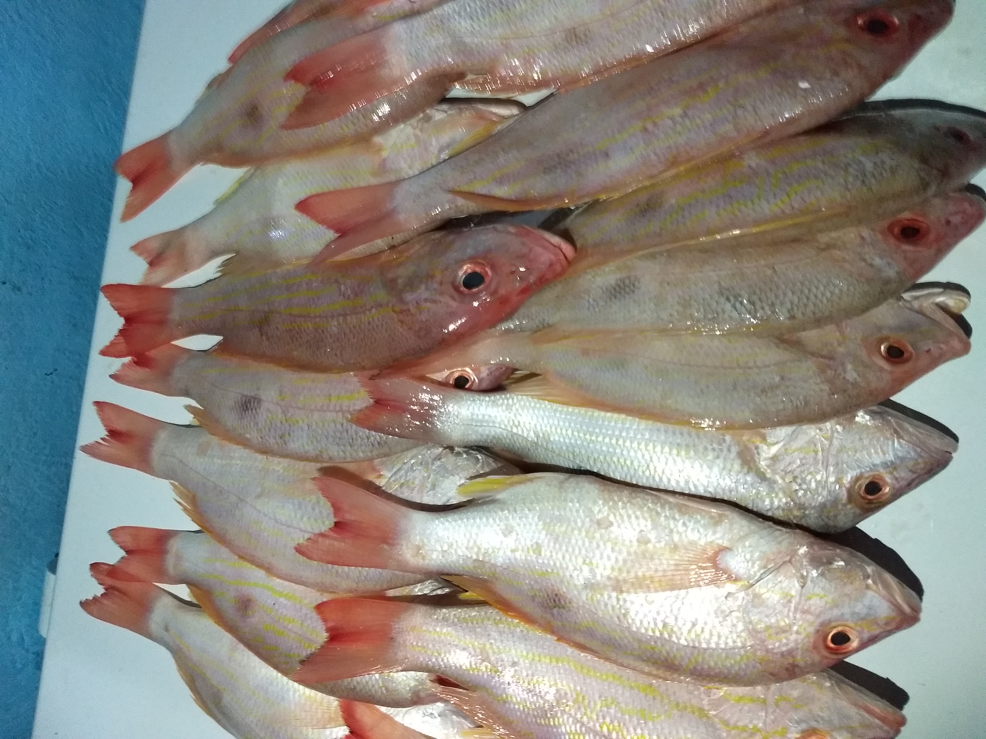 Marisquería sagittarius image 4