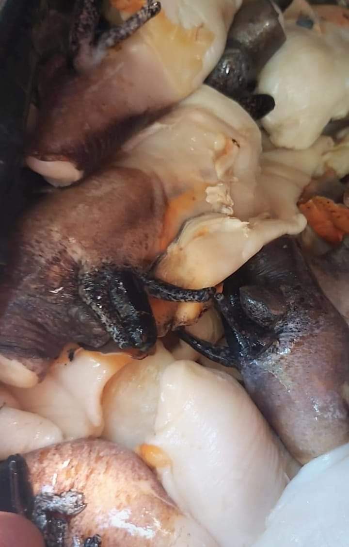 Marisquería sagittarius image 5