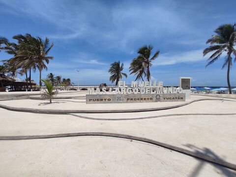 Eladio's Bar Progreso image 3