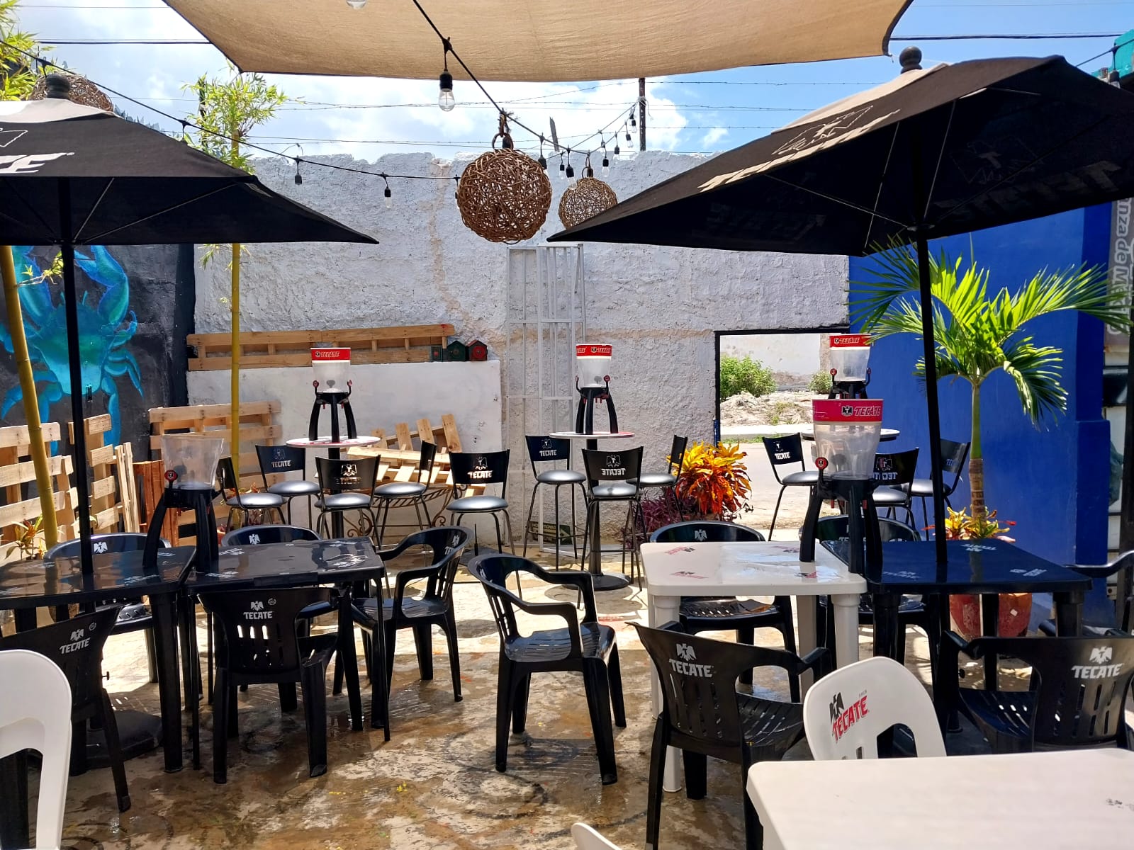 Restaurante & terraza "La Parrilla DEL TIO XIX" image 10