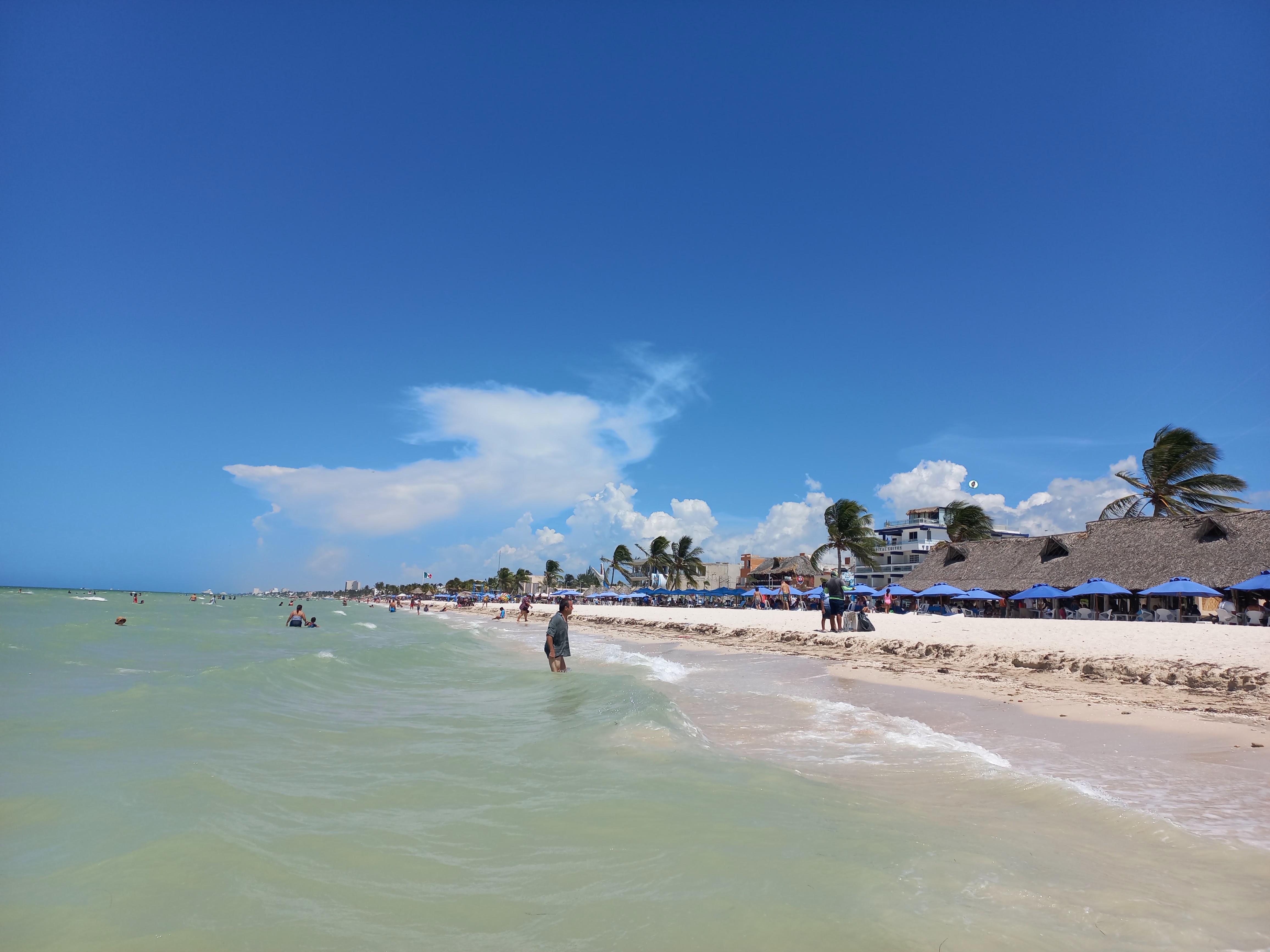 Restaurante Shark image 3