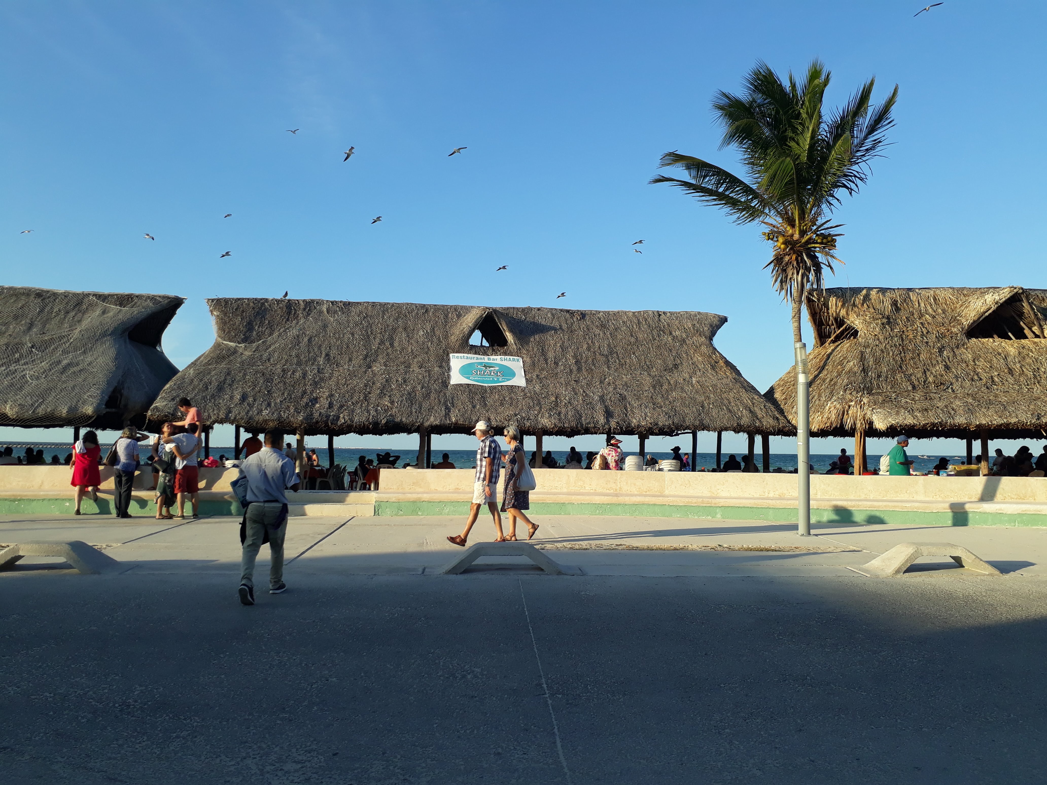 Restaurante Shark image 4