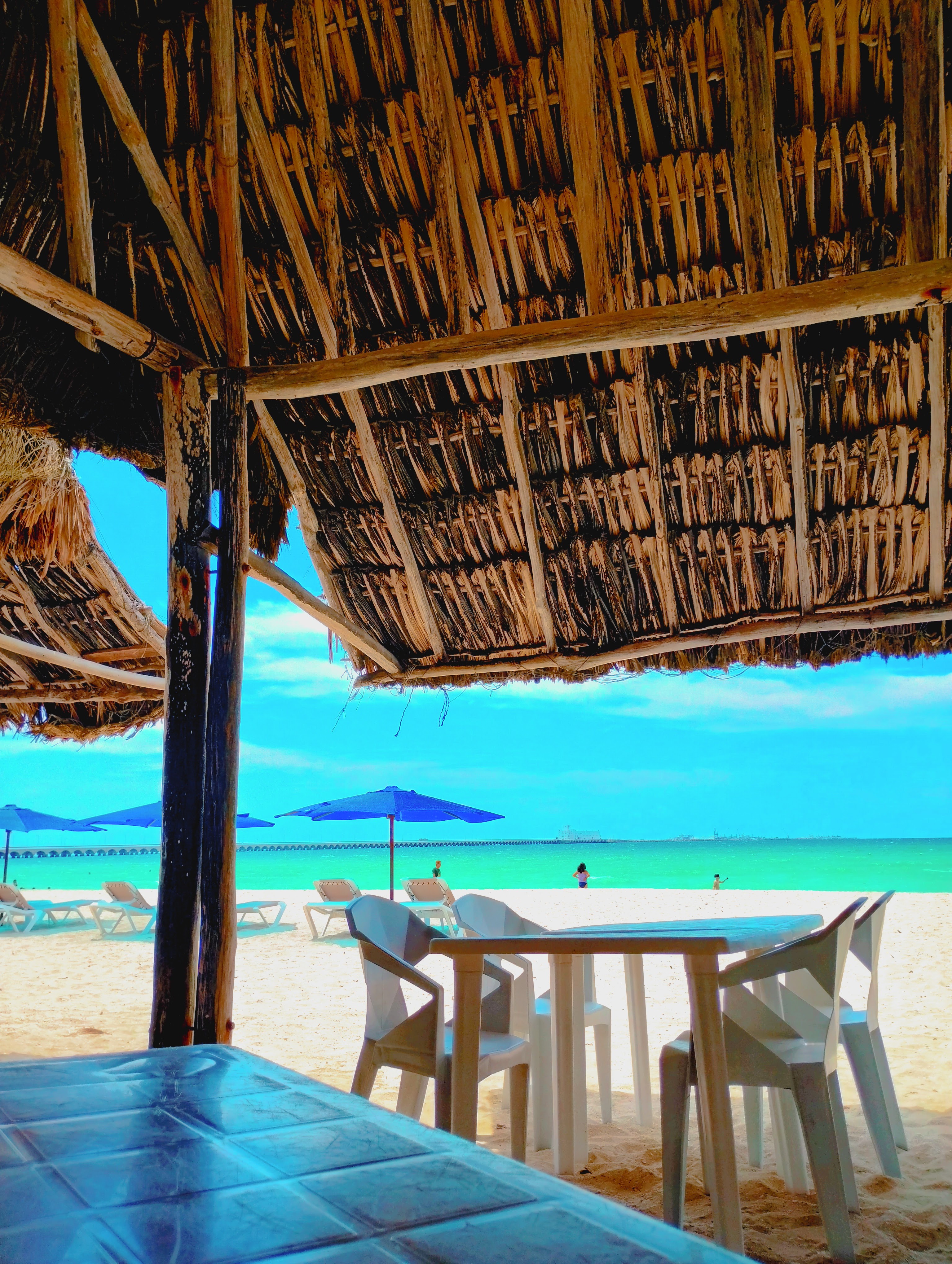 Restaurante Shark image 5