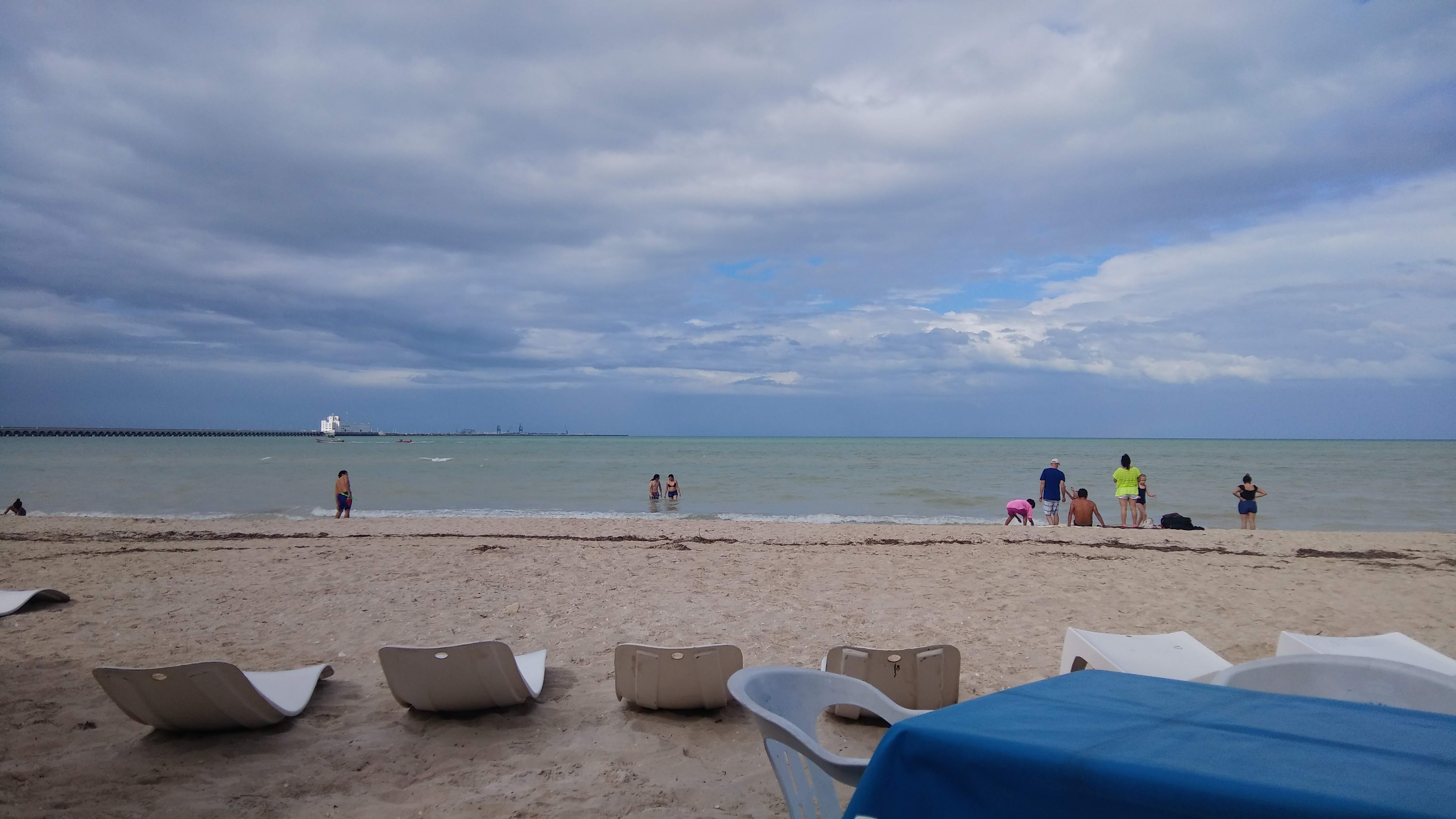 Restaurante Shark image 7