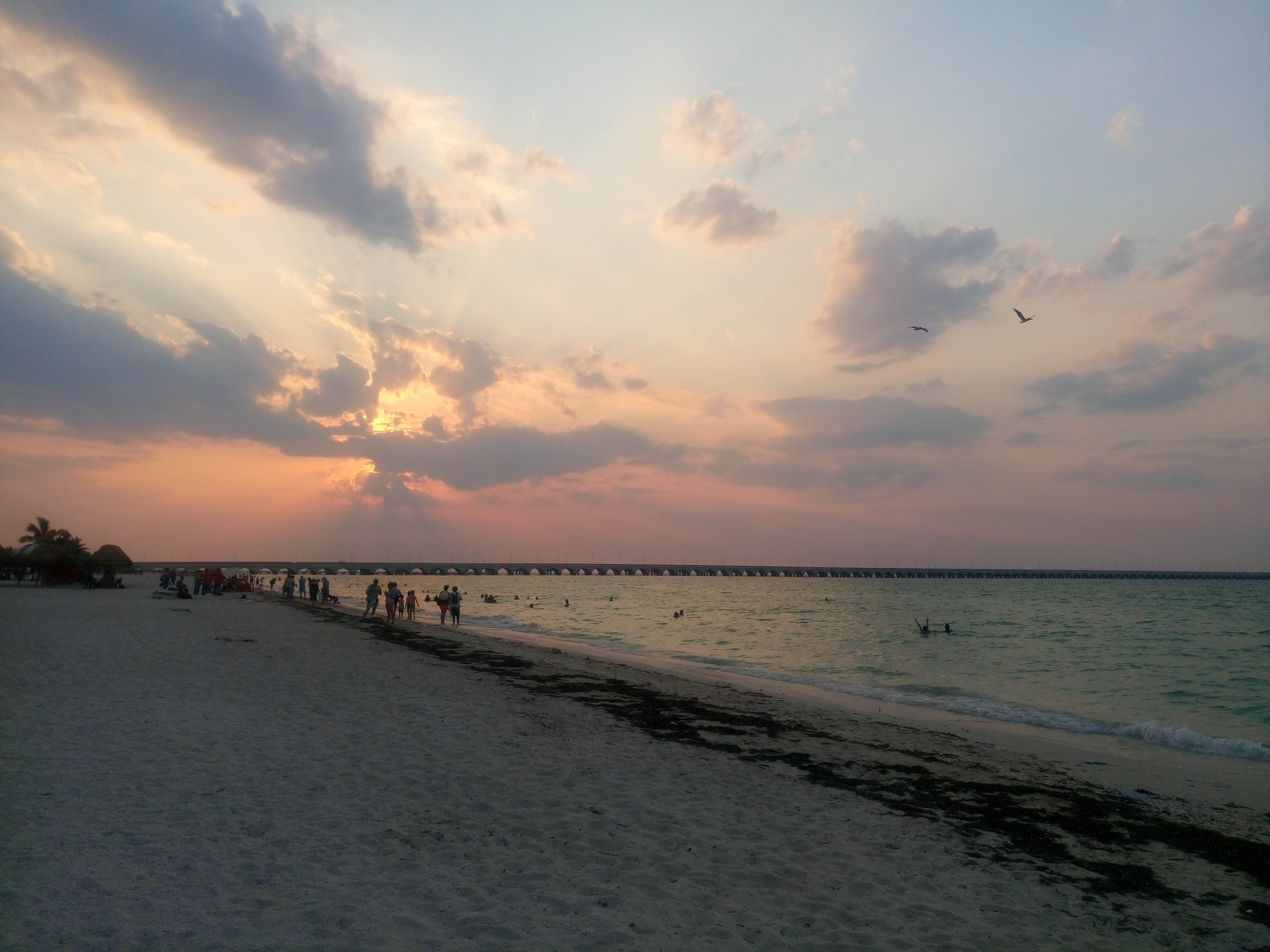 Restaurante Shark image 9