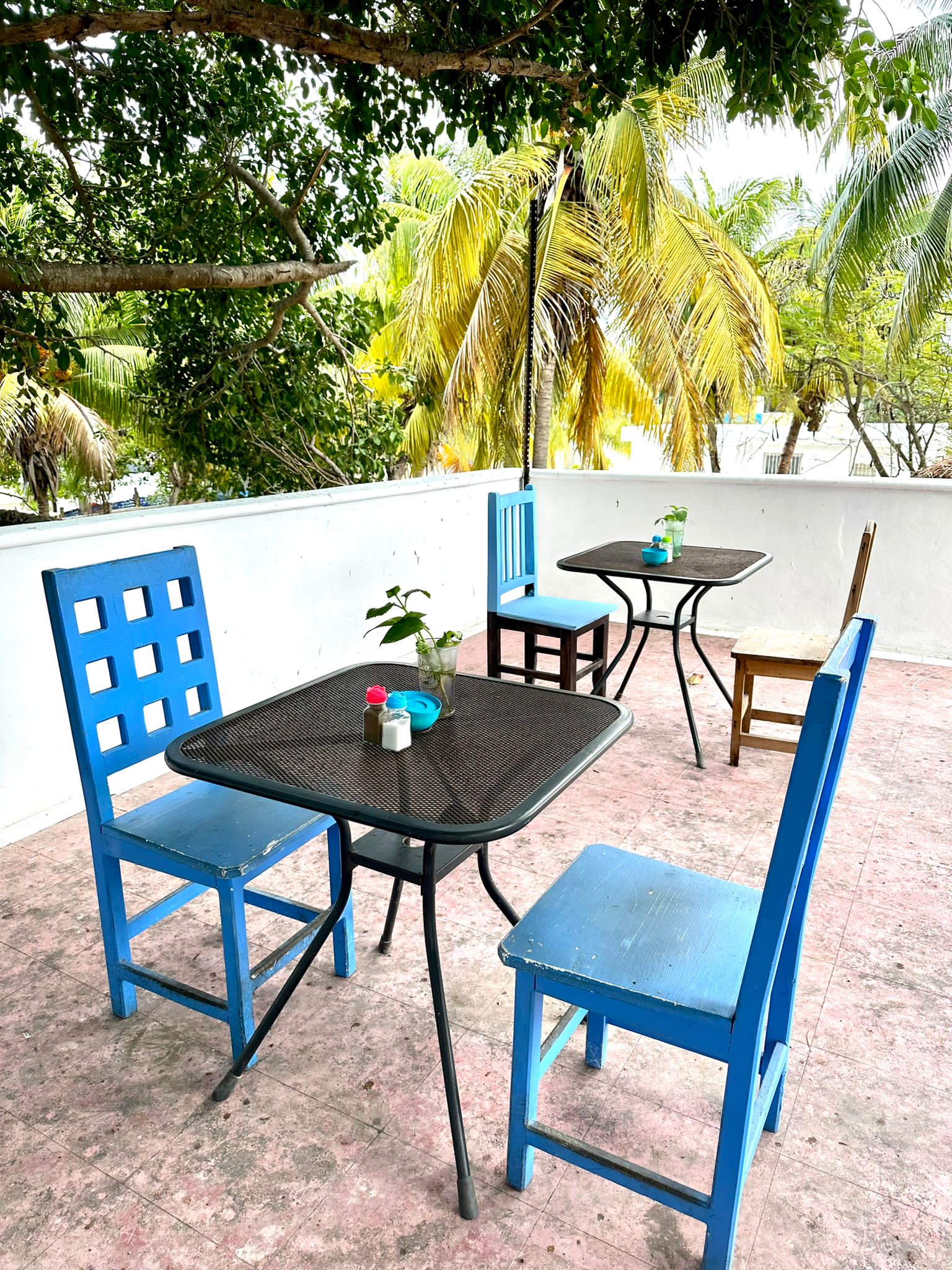 Qué Onda? Café image 8