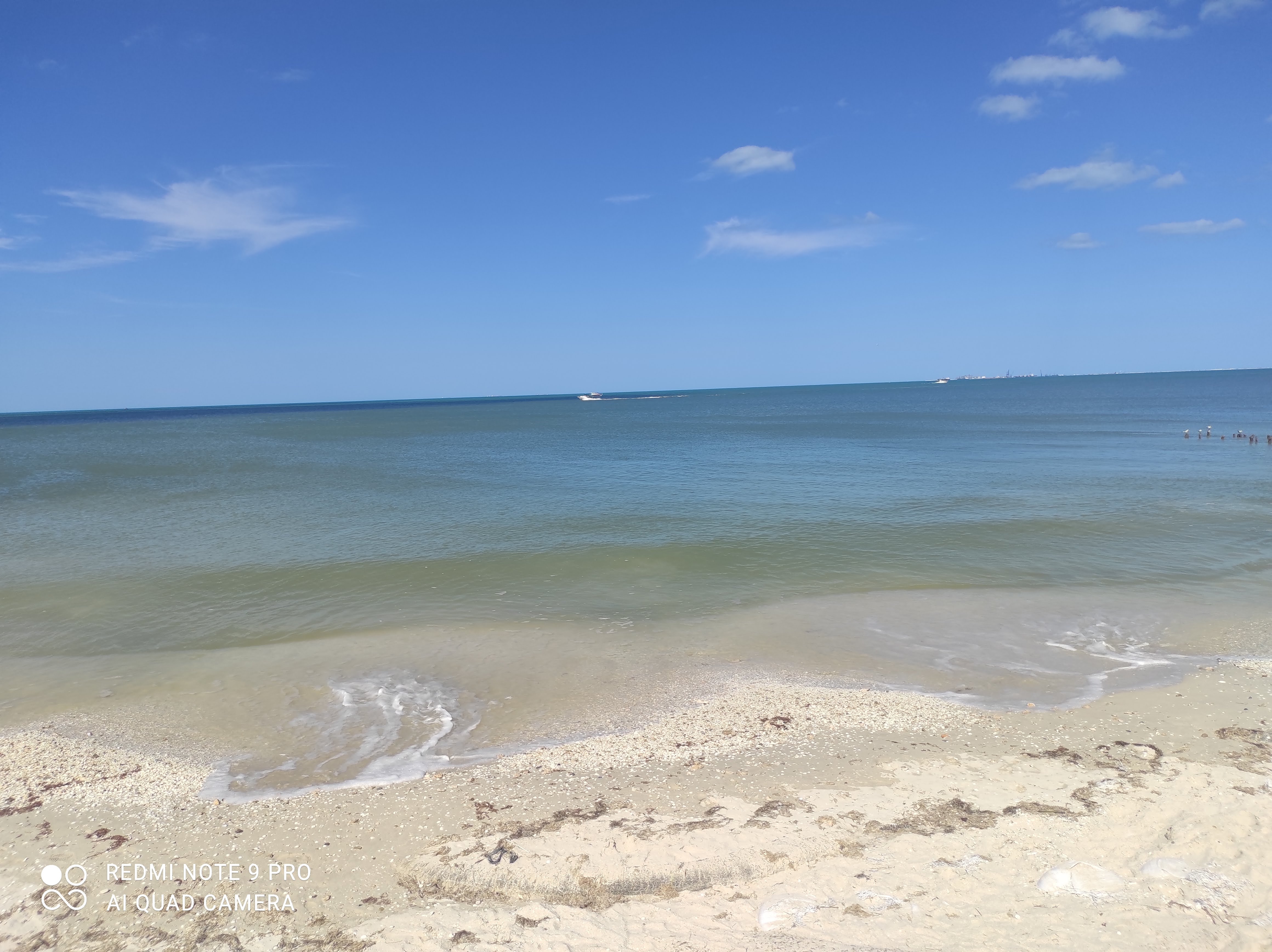 Playa Bonita Restaurante & Beach Club image 3