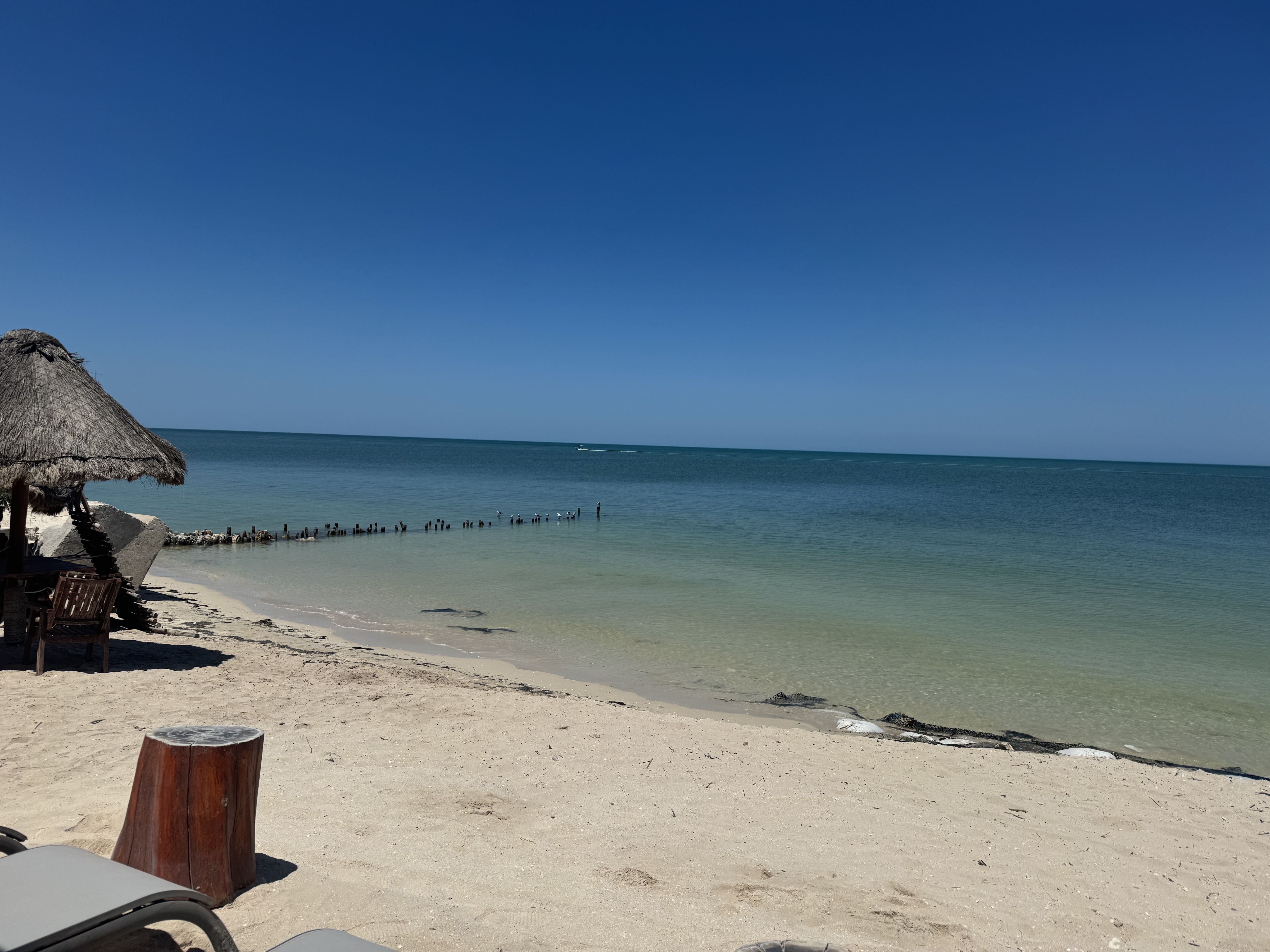 Playa Bonita Restaurante & Beach Club image 6