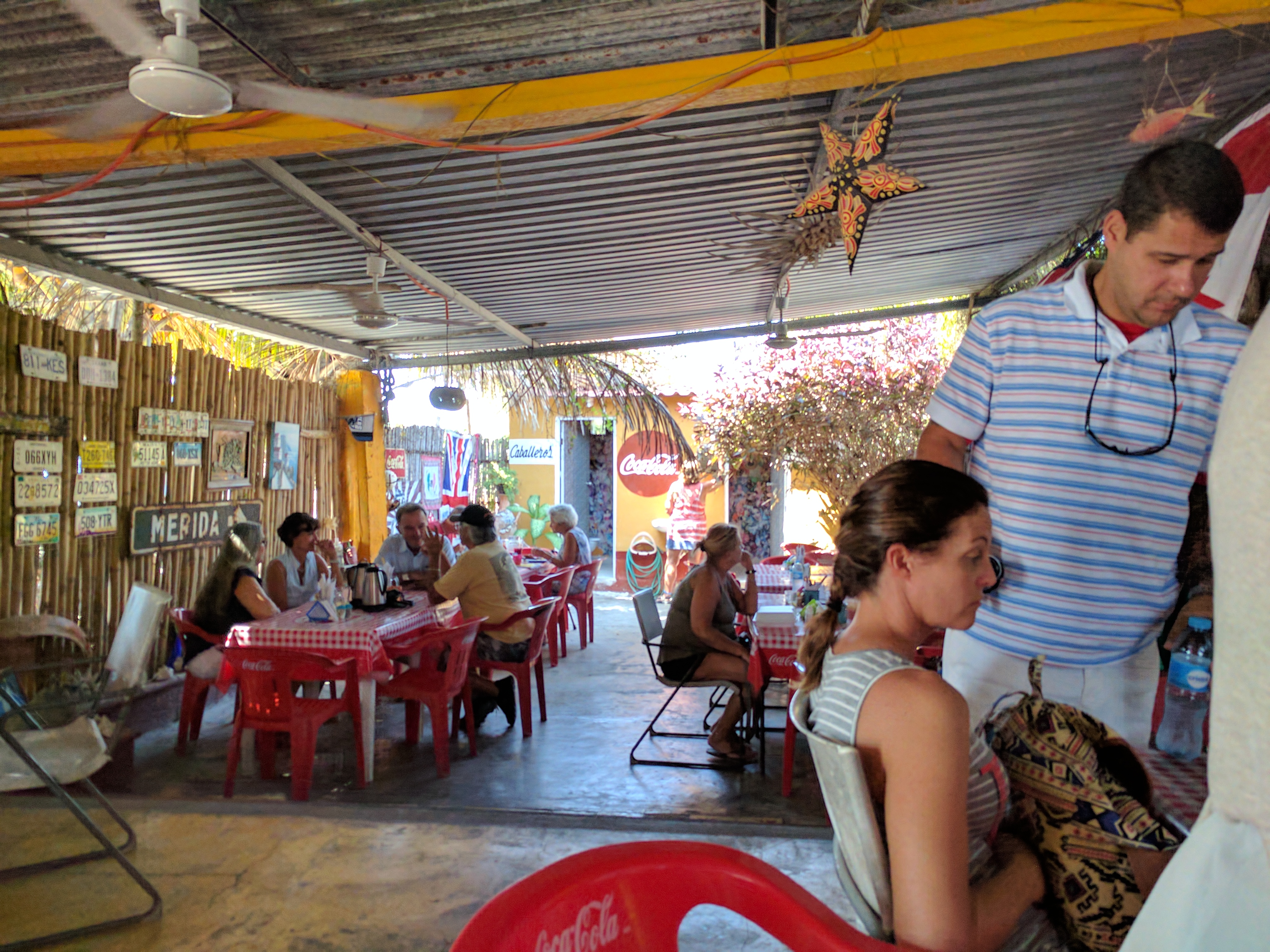 Lizard Joe's Yucatexa image 1