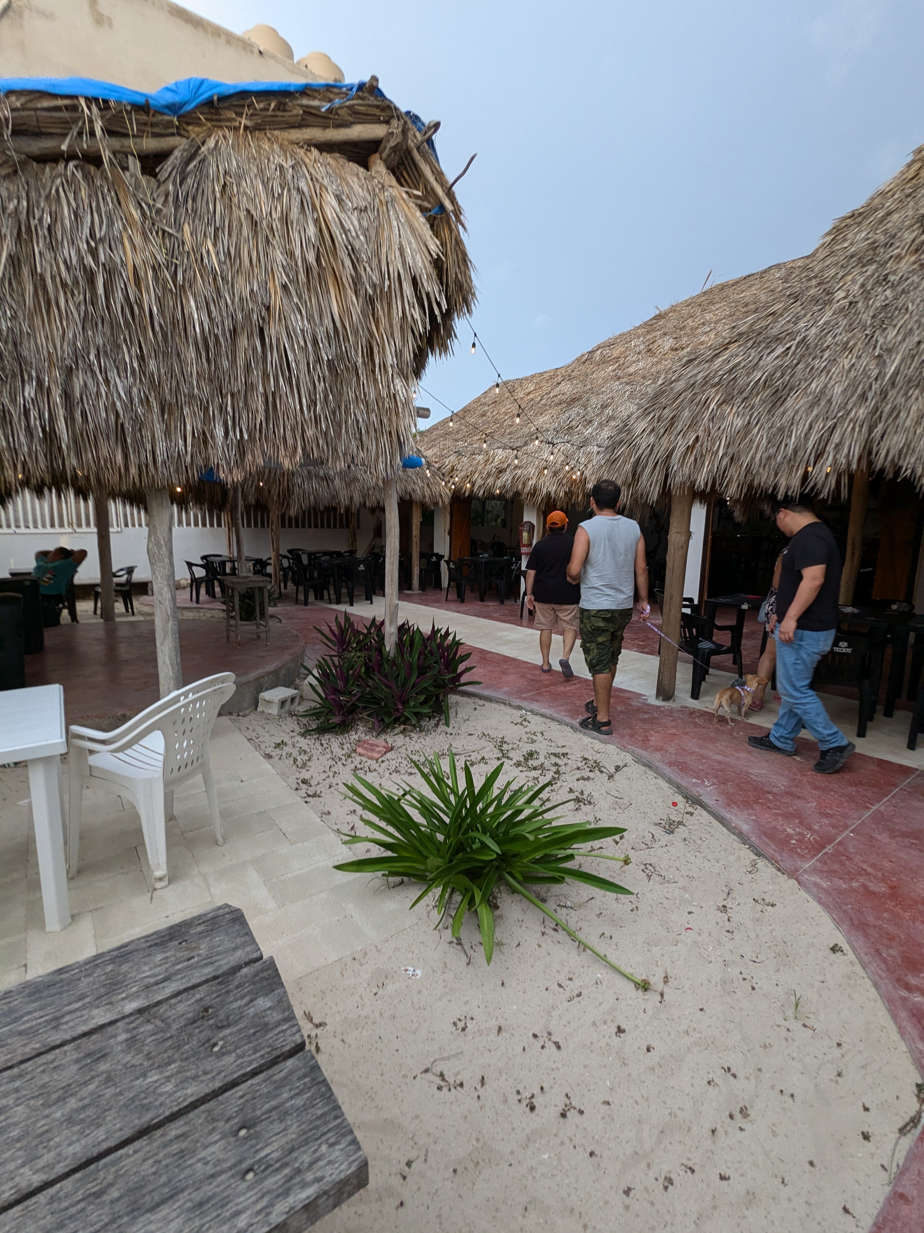 Lizard Joe's Yucatexa image 4