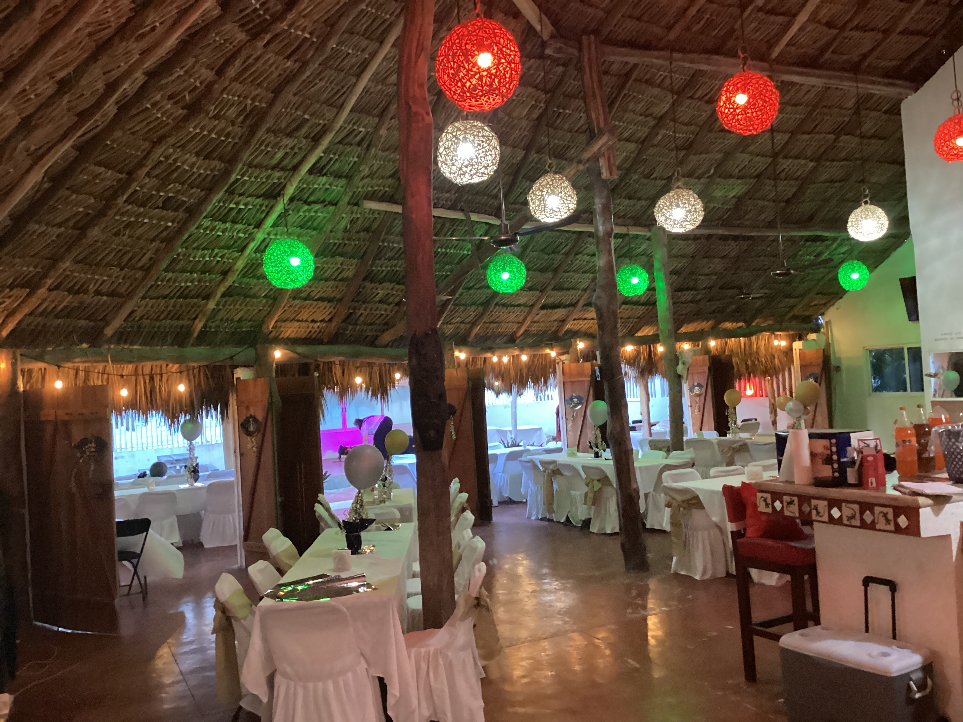 Lizard Joe's Yucatexa image 5