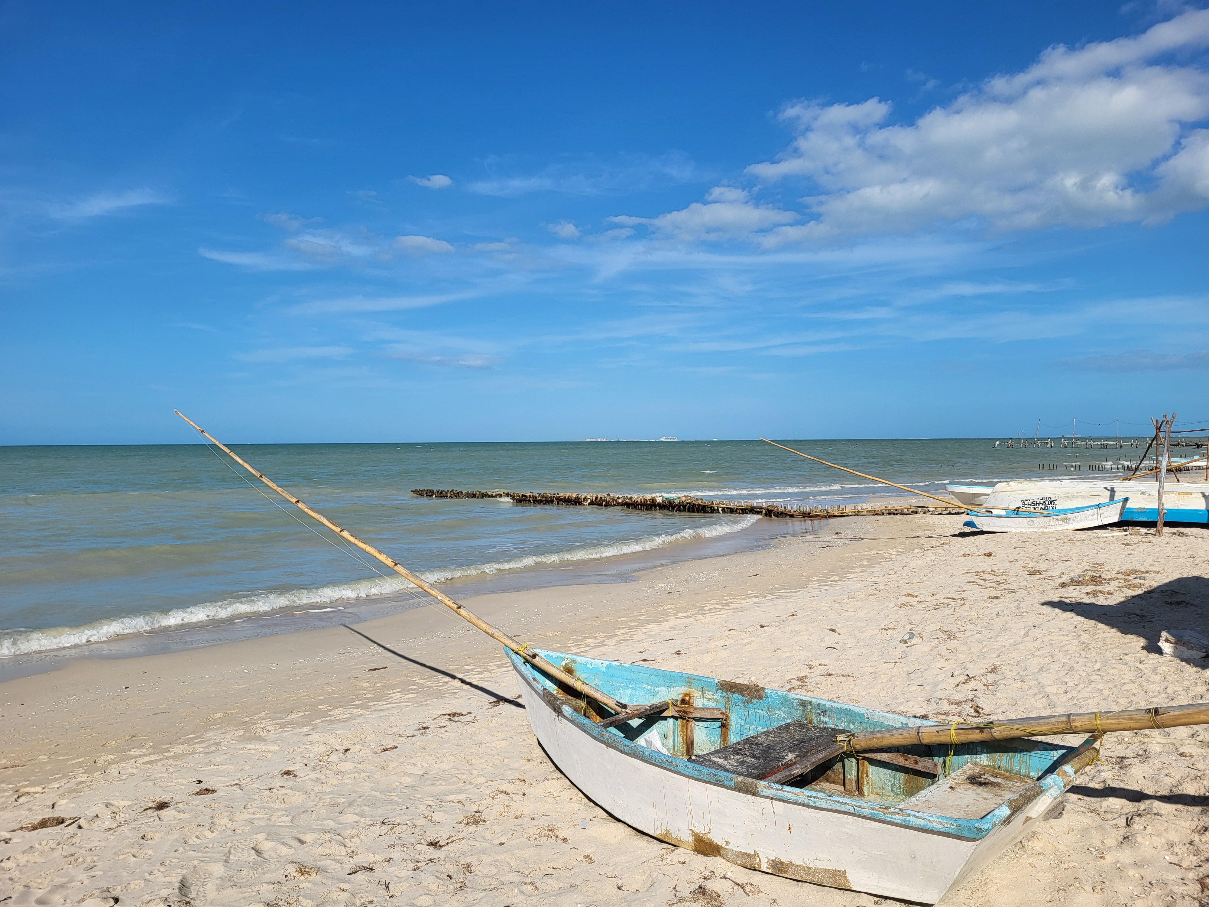 Lizard Joe's Yucatexa image 7