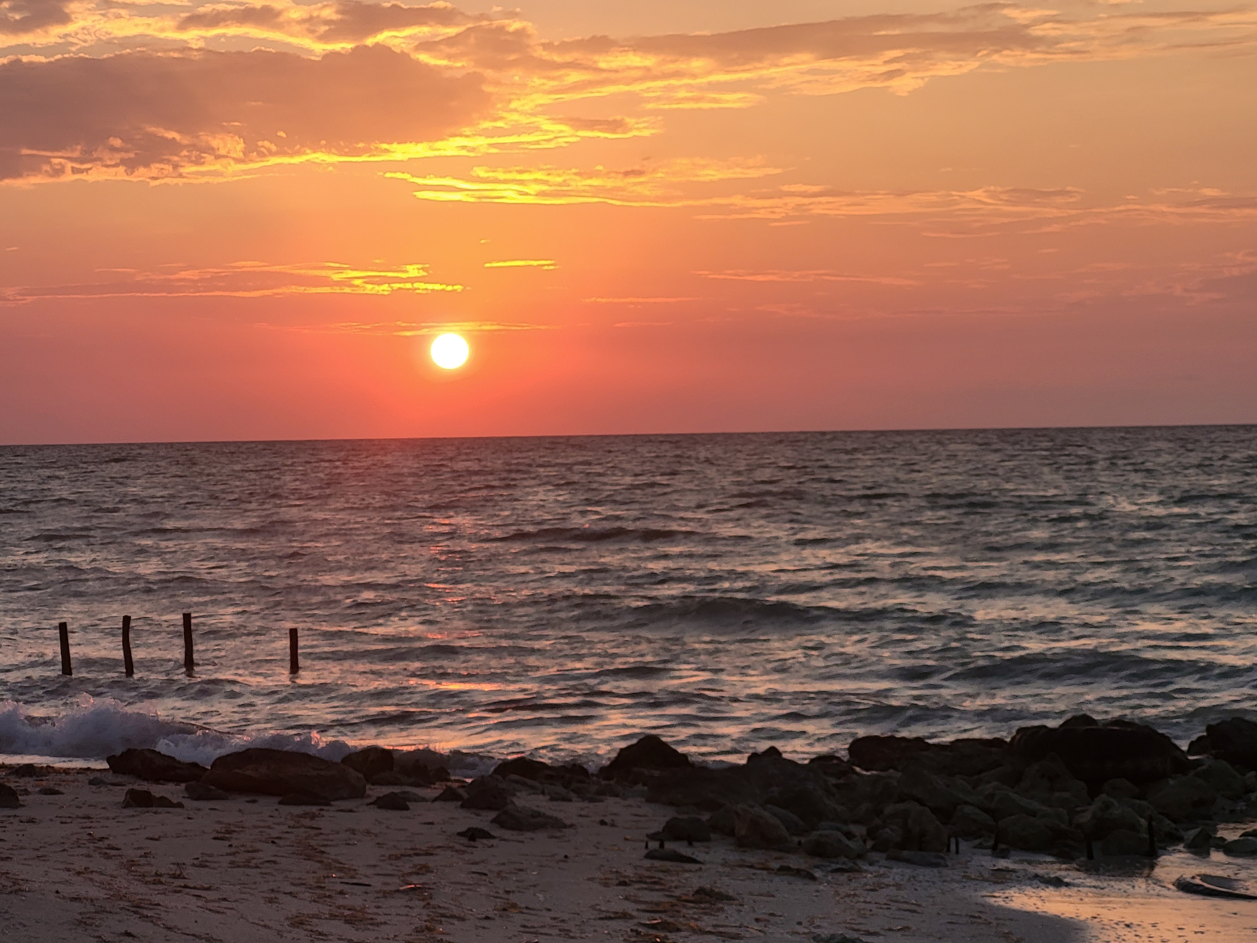 Lizard Joe's Yucatexa image 8