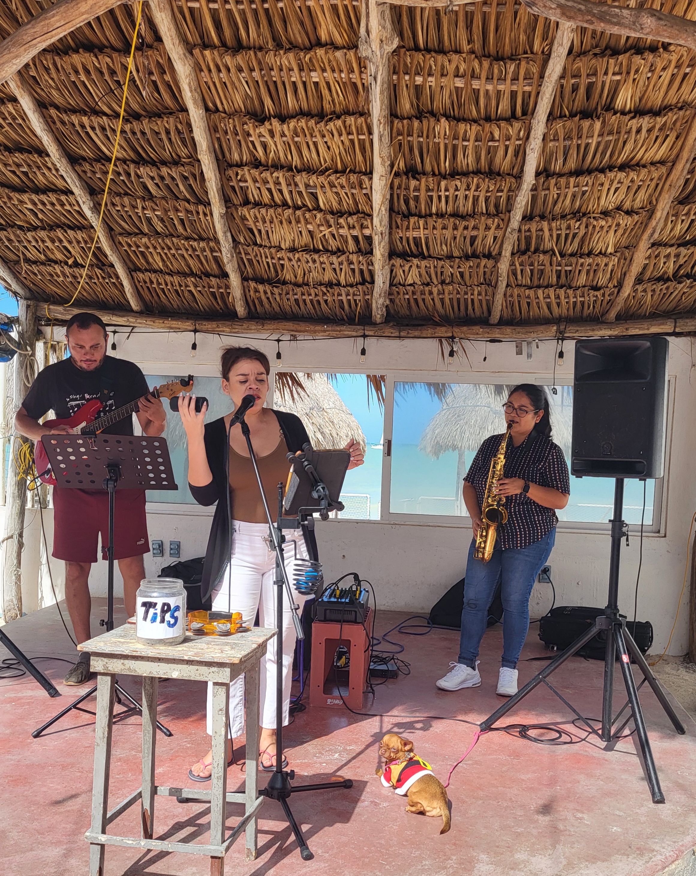 Lizard Joe's Yucatexa image 9