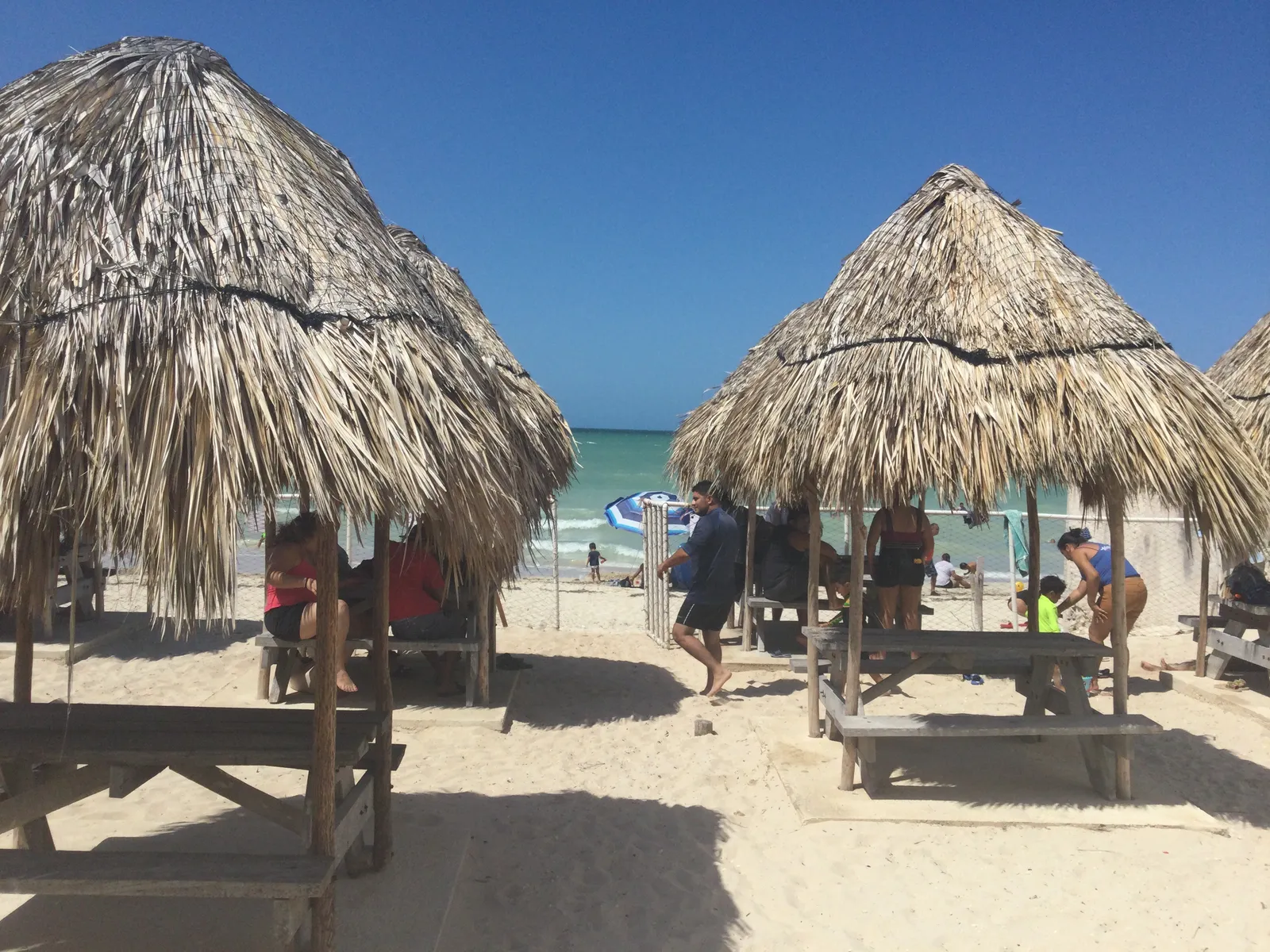 YucaTexa image 5