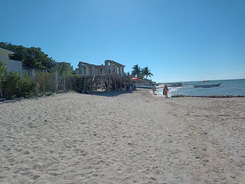 YucaTexa image 6