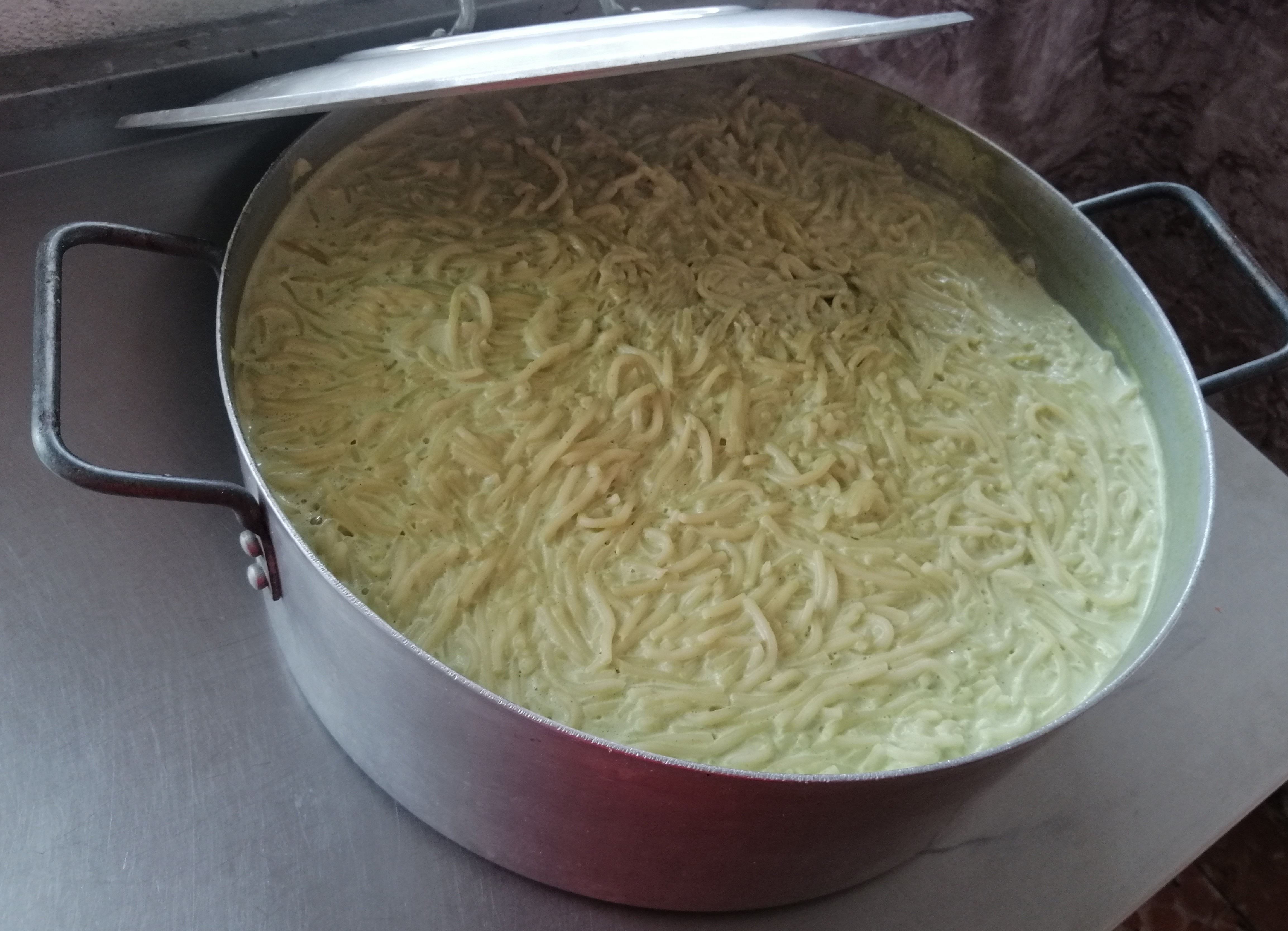 Los Potrillos image 5