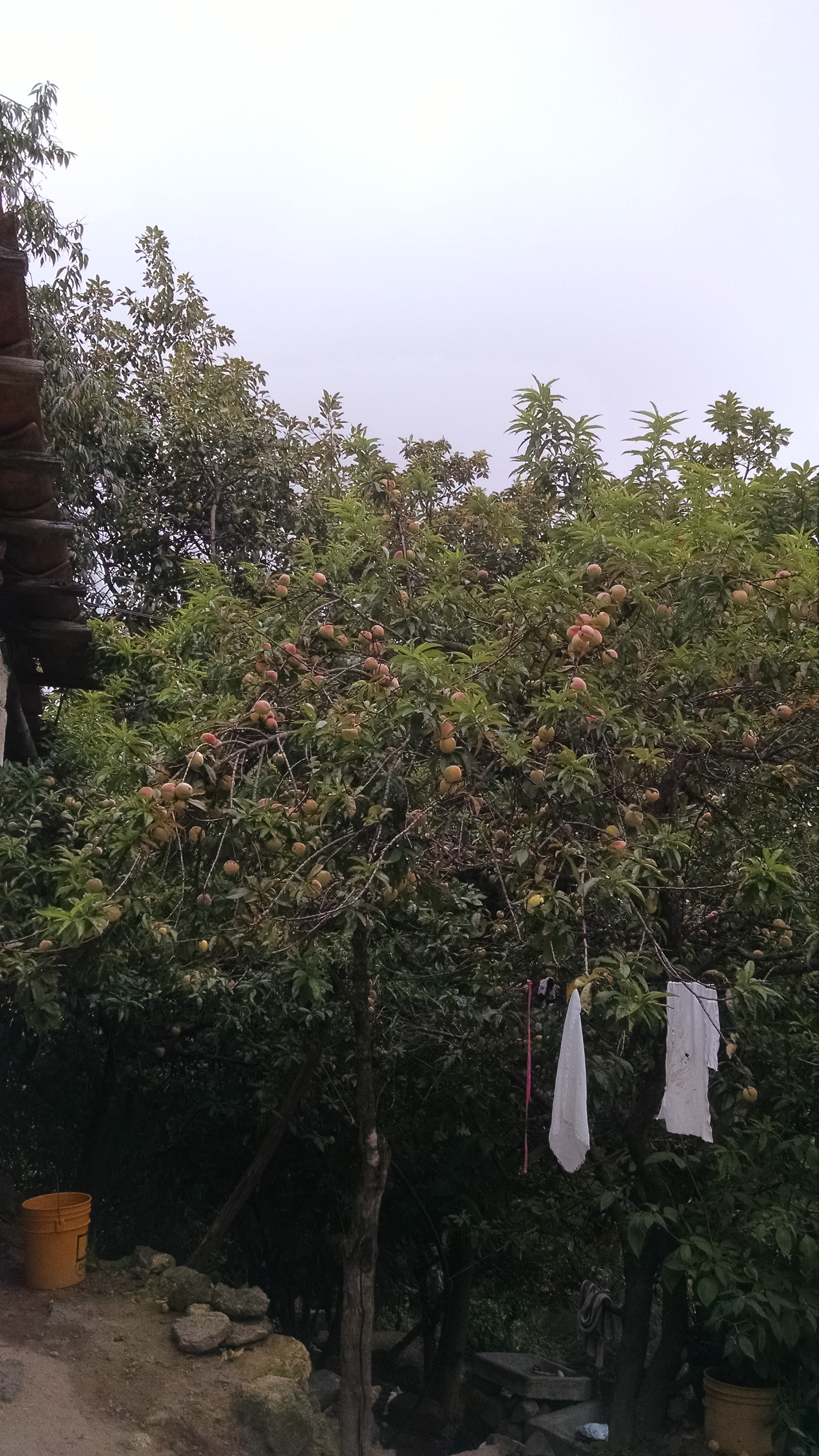 Rancho Hernandez La Cabaña image 5