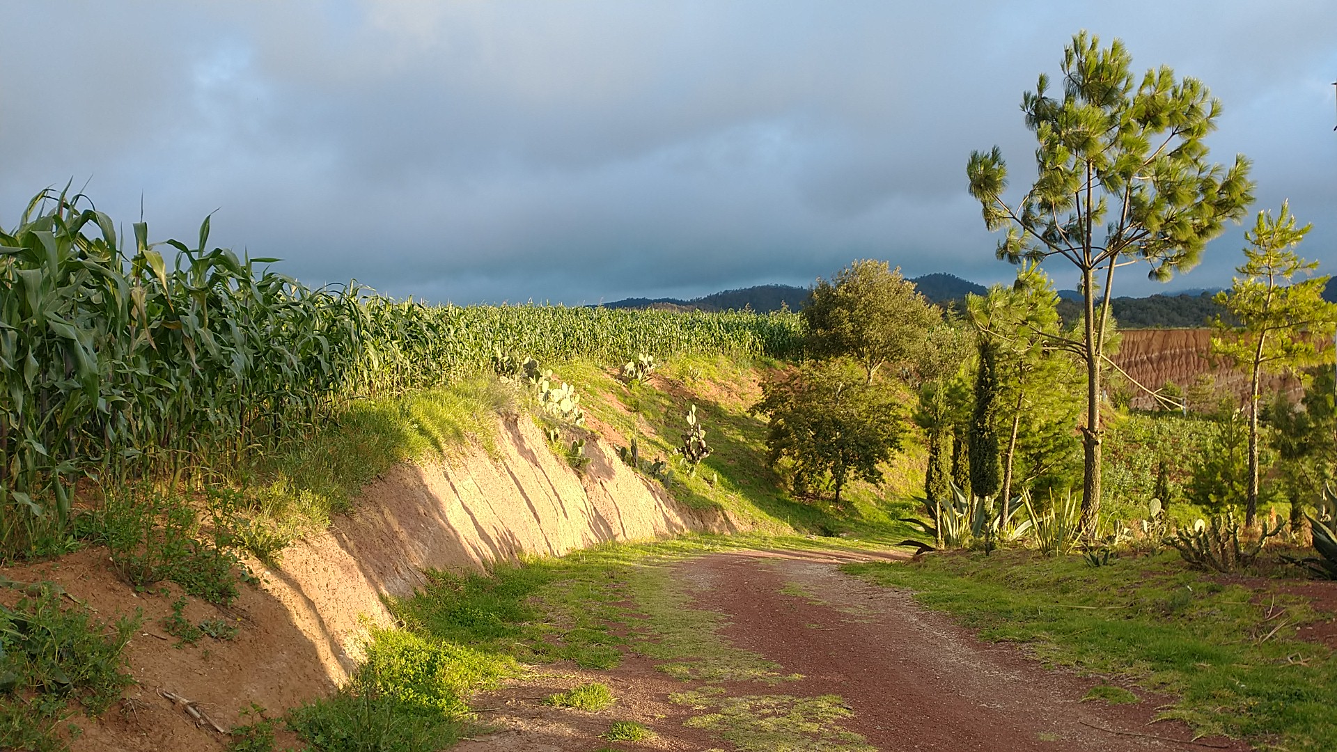 Rancho Hernandez La Cabaña image 8