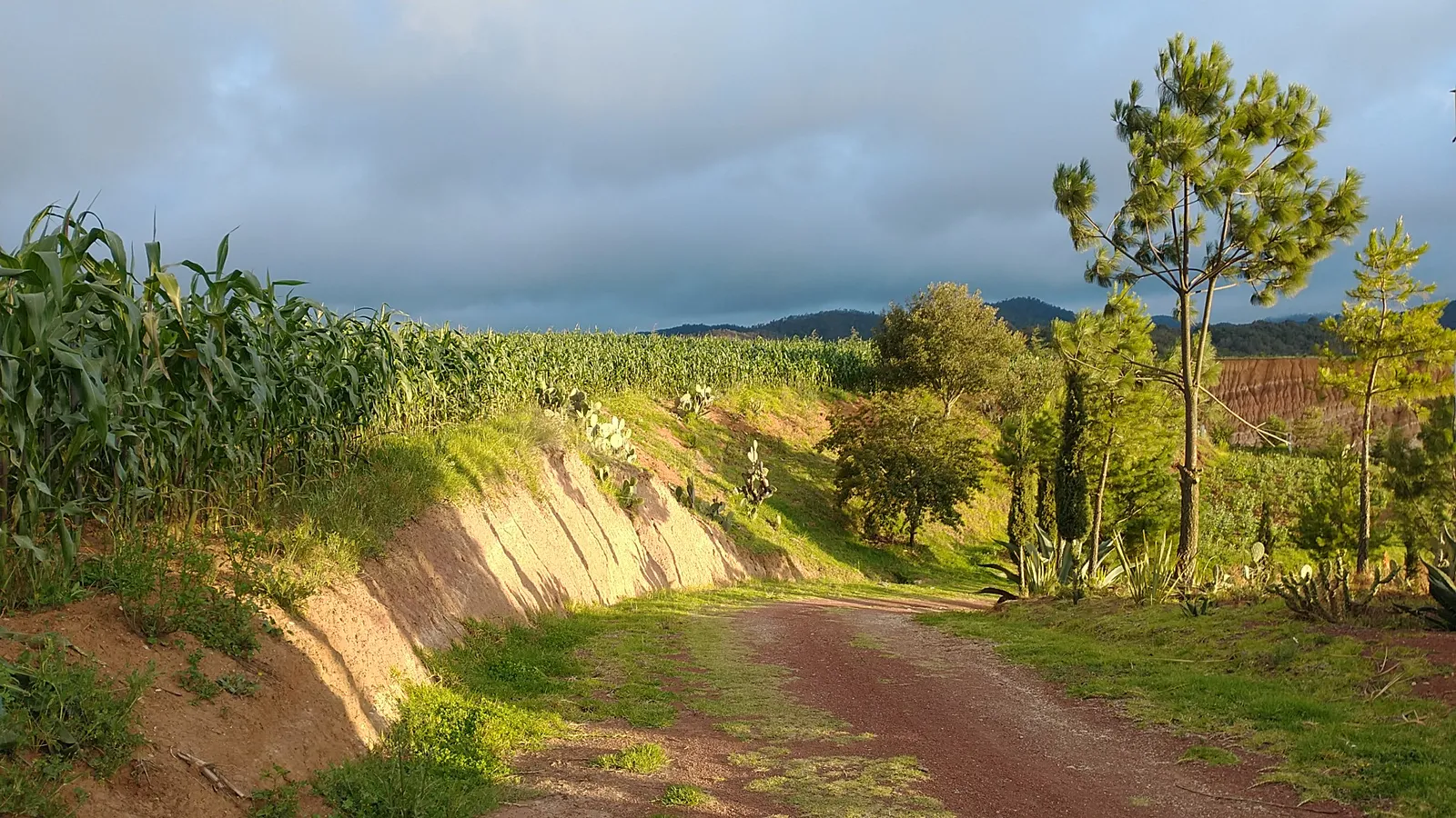 Rancho Hernandez La Cabaña image 8