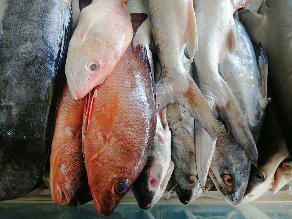 Pescadería y Marisquería" Costa Brava" image 5