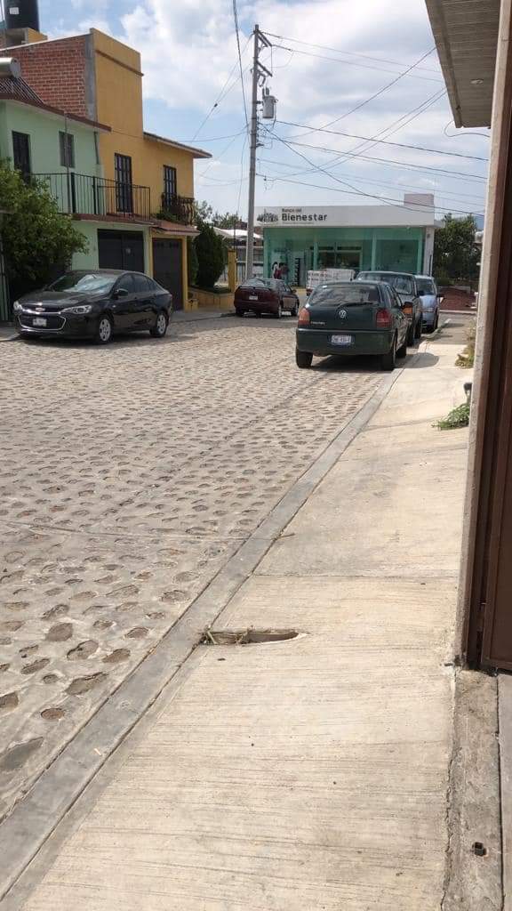 Centro botanero JEMS image 6