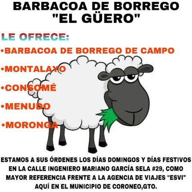 Barbacoa de Borrego "El Güero" image 3
