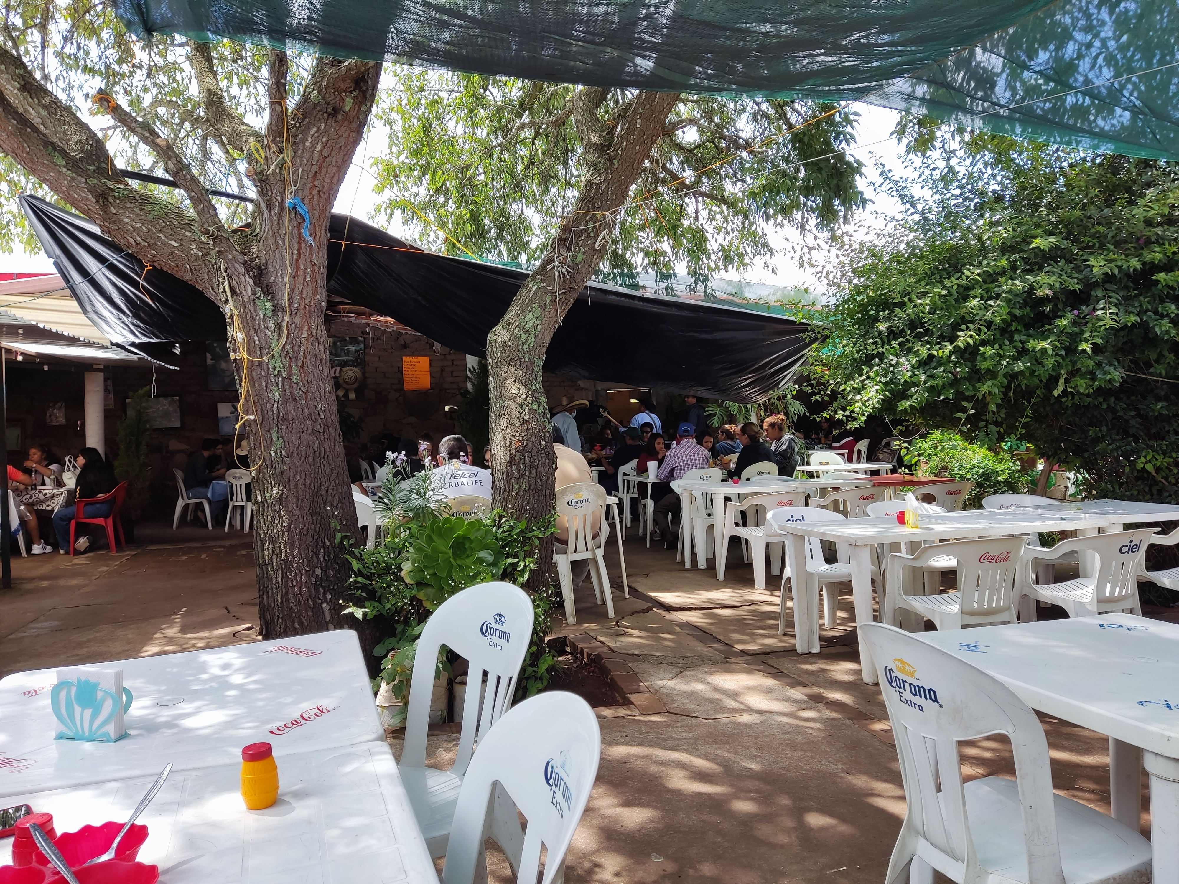 Mole y Barbacoa La Tenencia El Original image 6