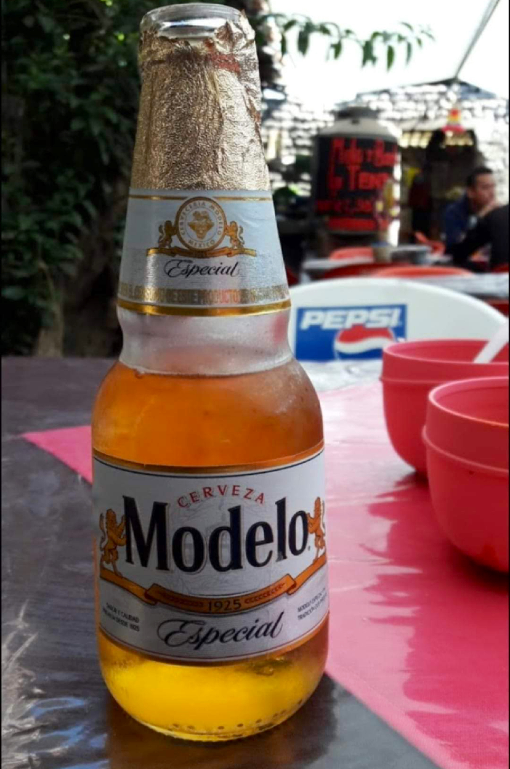 Mole y Barbacoa La Tenencia El Original image 7