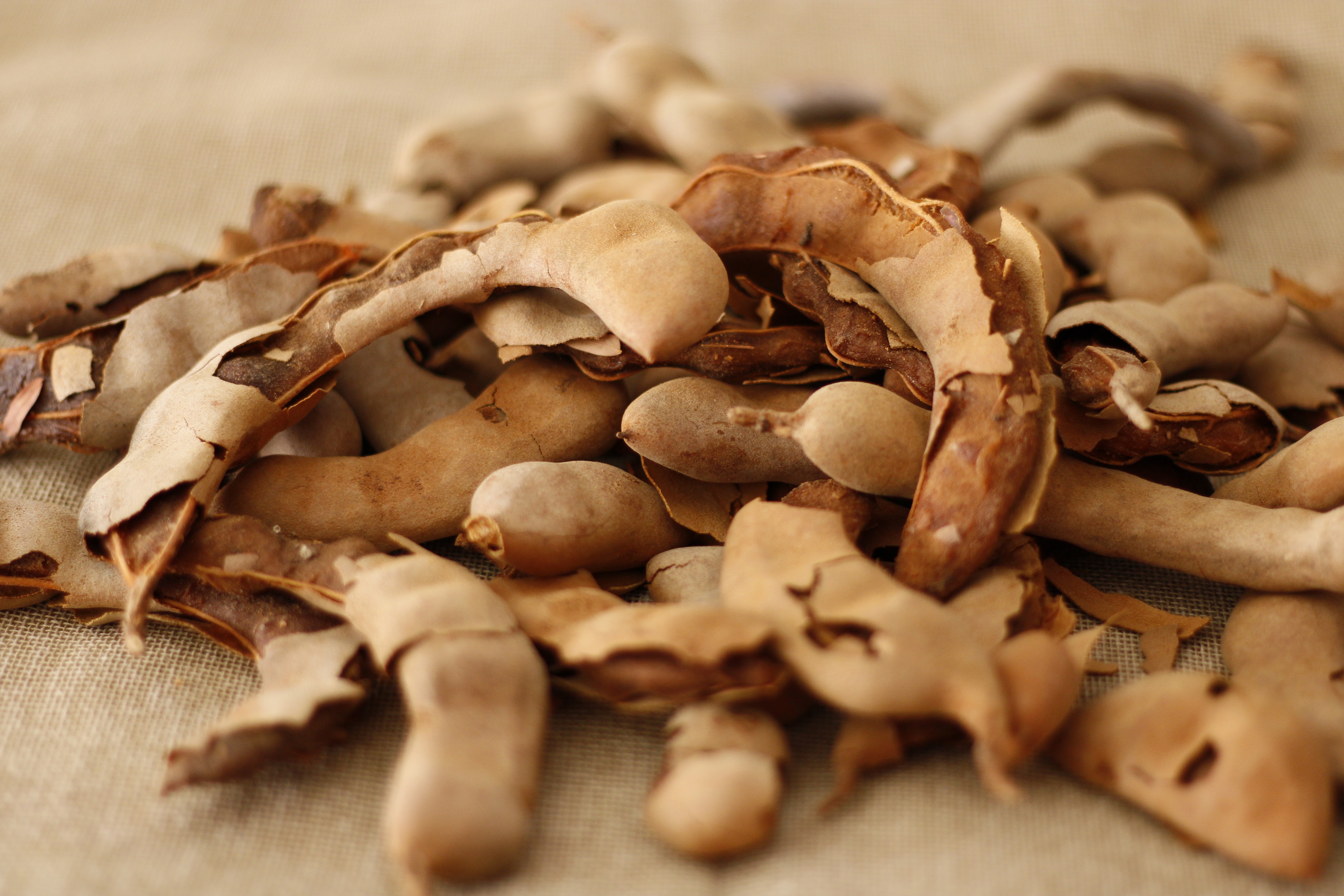 Amor Amor Fast Good image 4