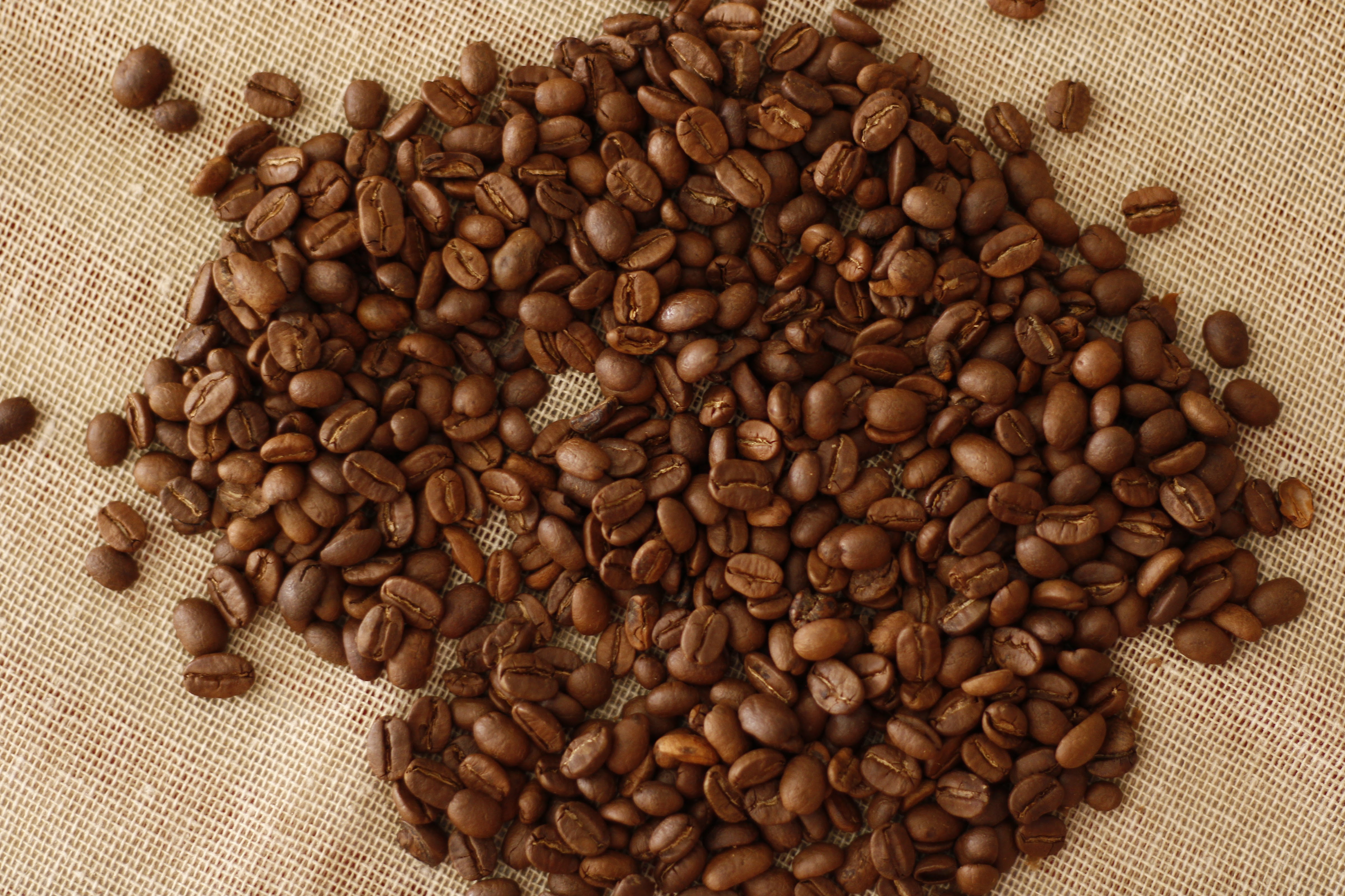 Amor Amor Fast Good image 5