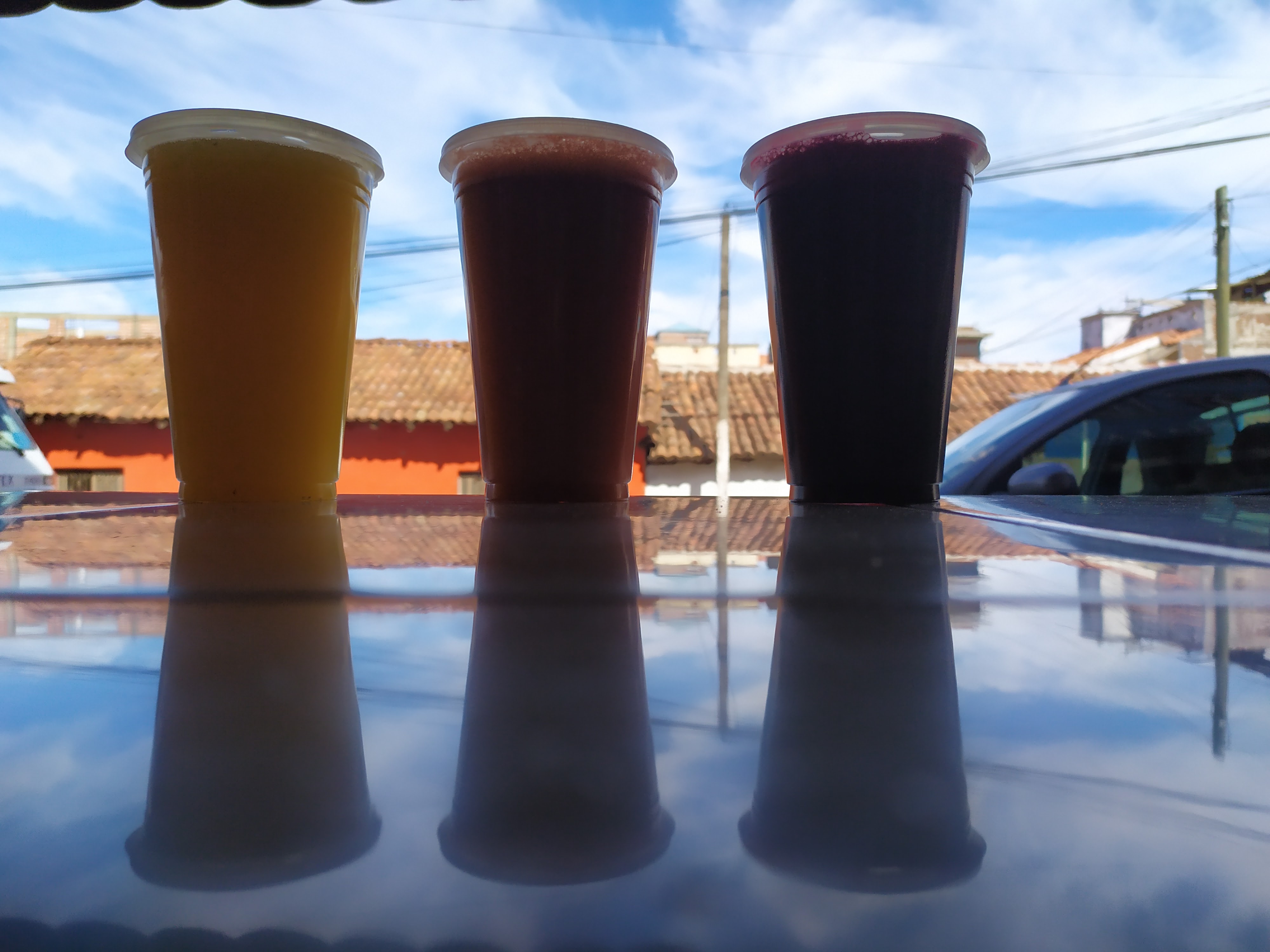 Loncheria "Ximena" image 3