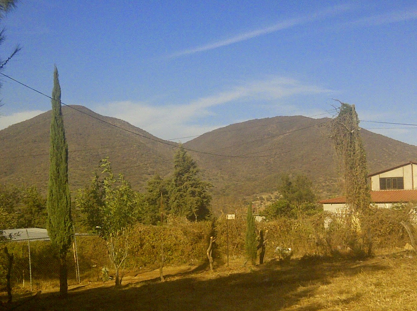 Almuerzos Querenguaro image 2