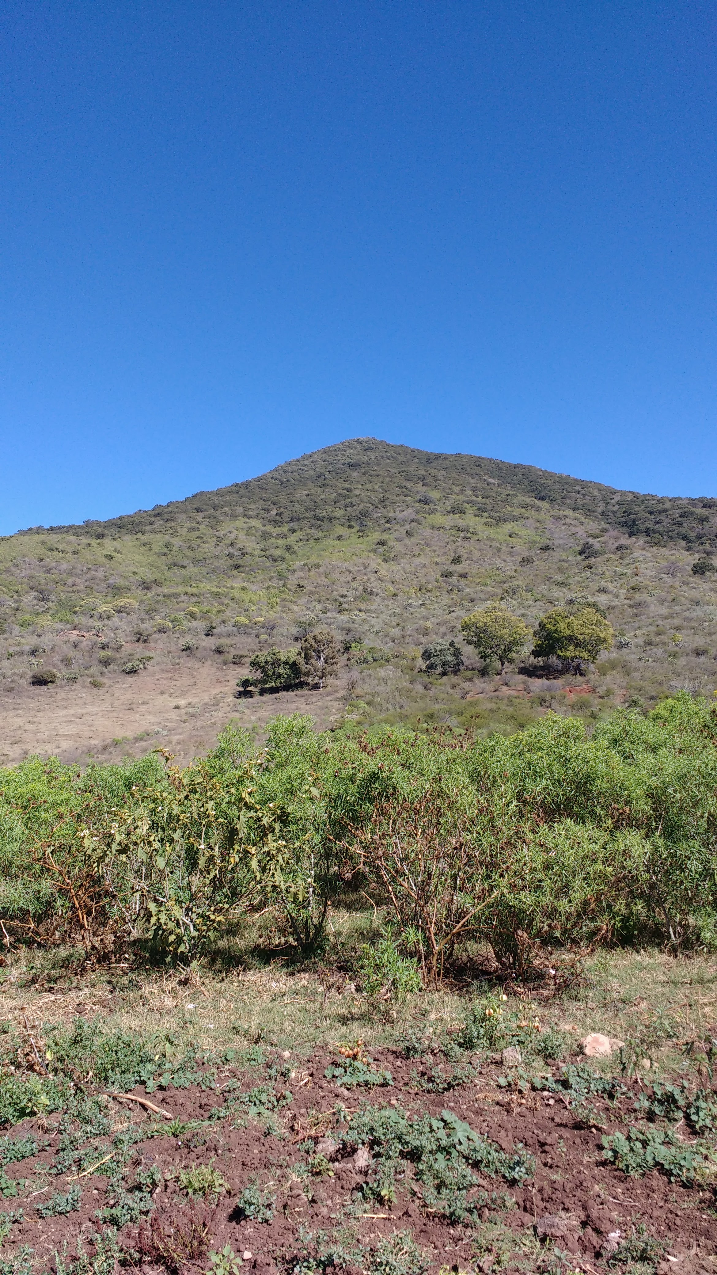 Almuerzos Querenguaro image 3