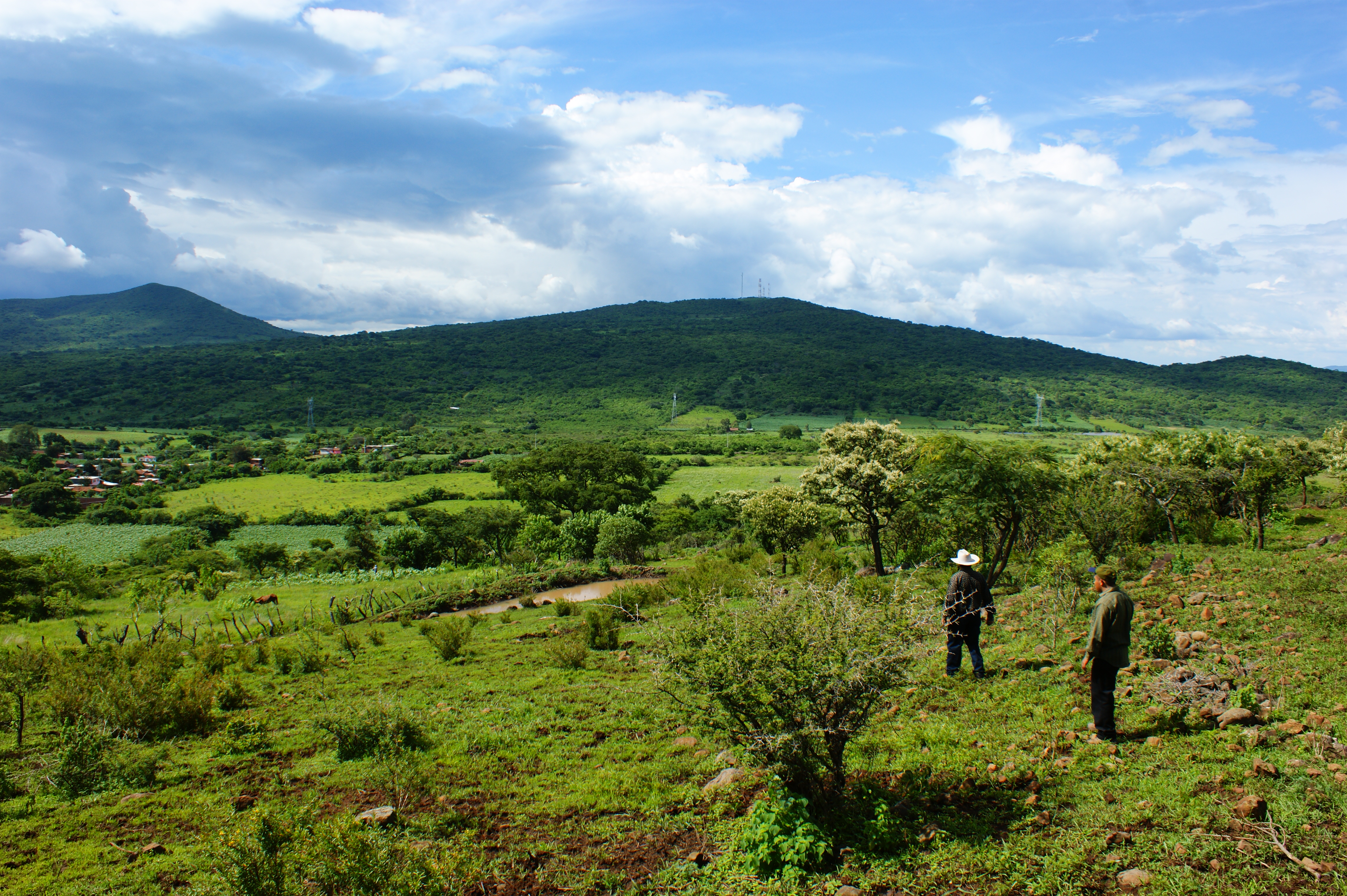 Comida Casera & Cenaduria "Doña Maxi" Since 1990. image 1