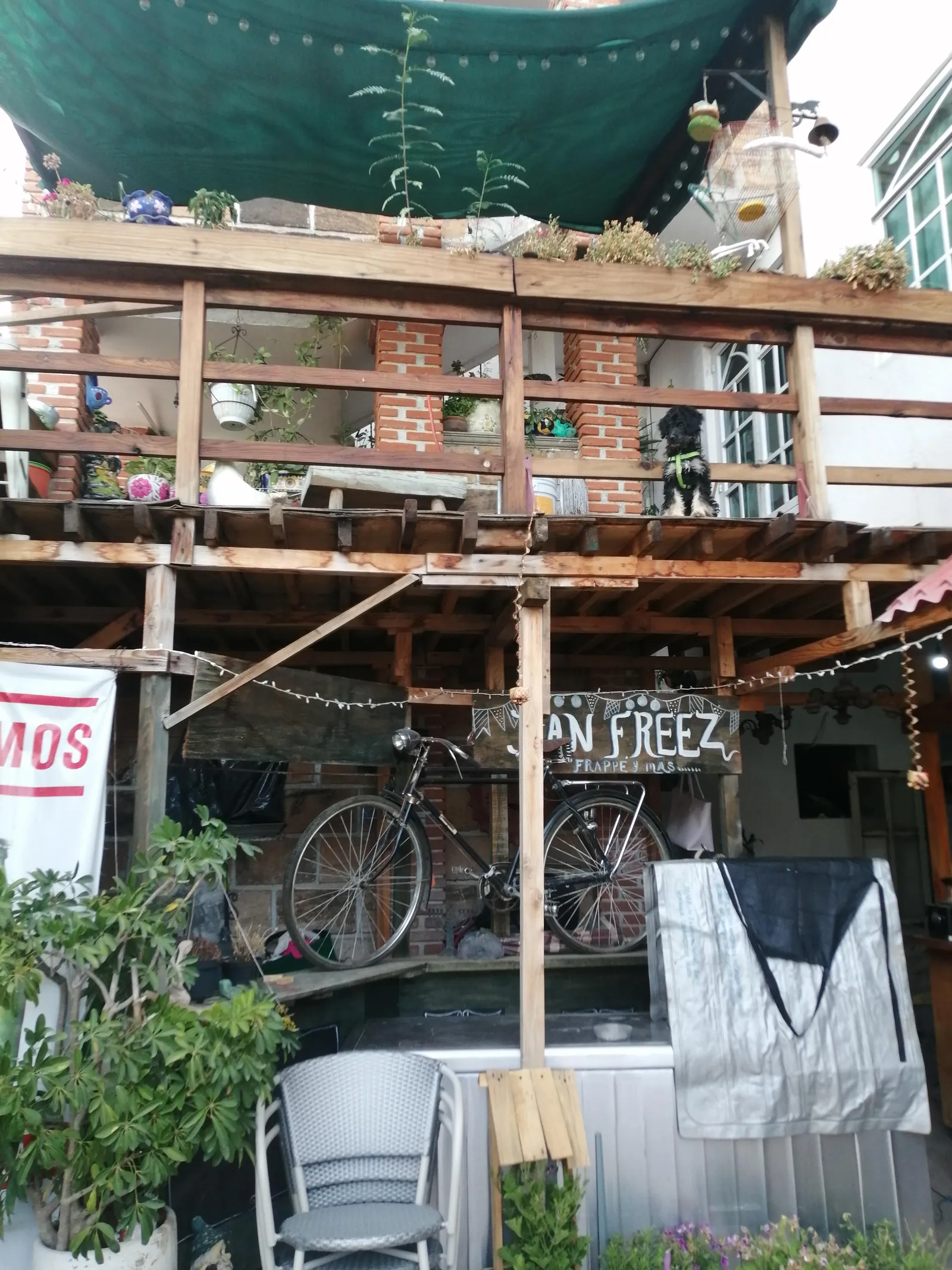 Mezcalito beer garden image 10
