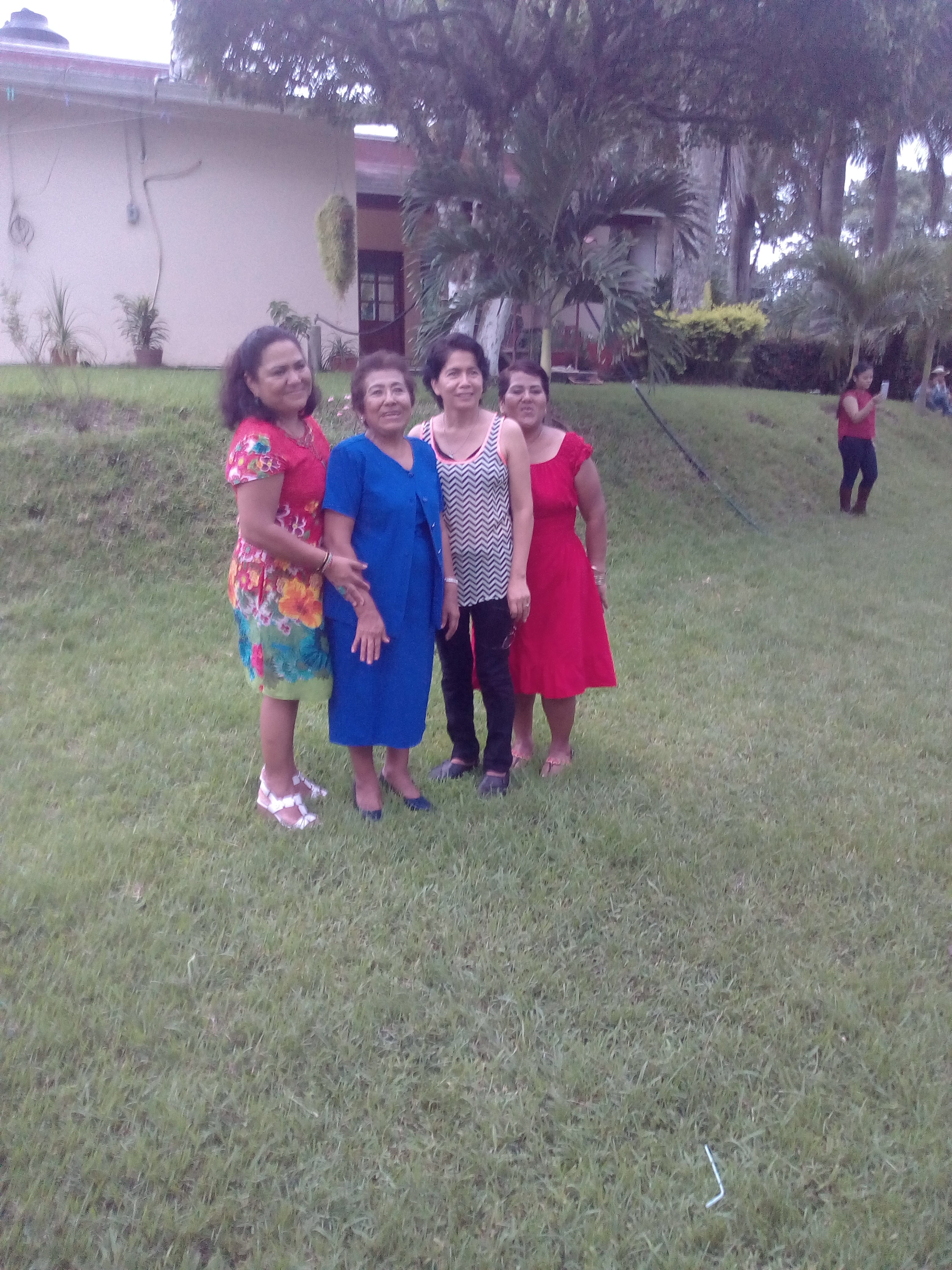 Comedor Gina image 3