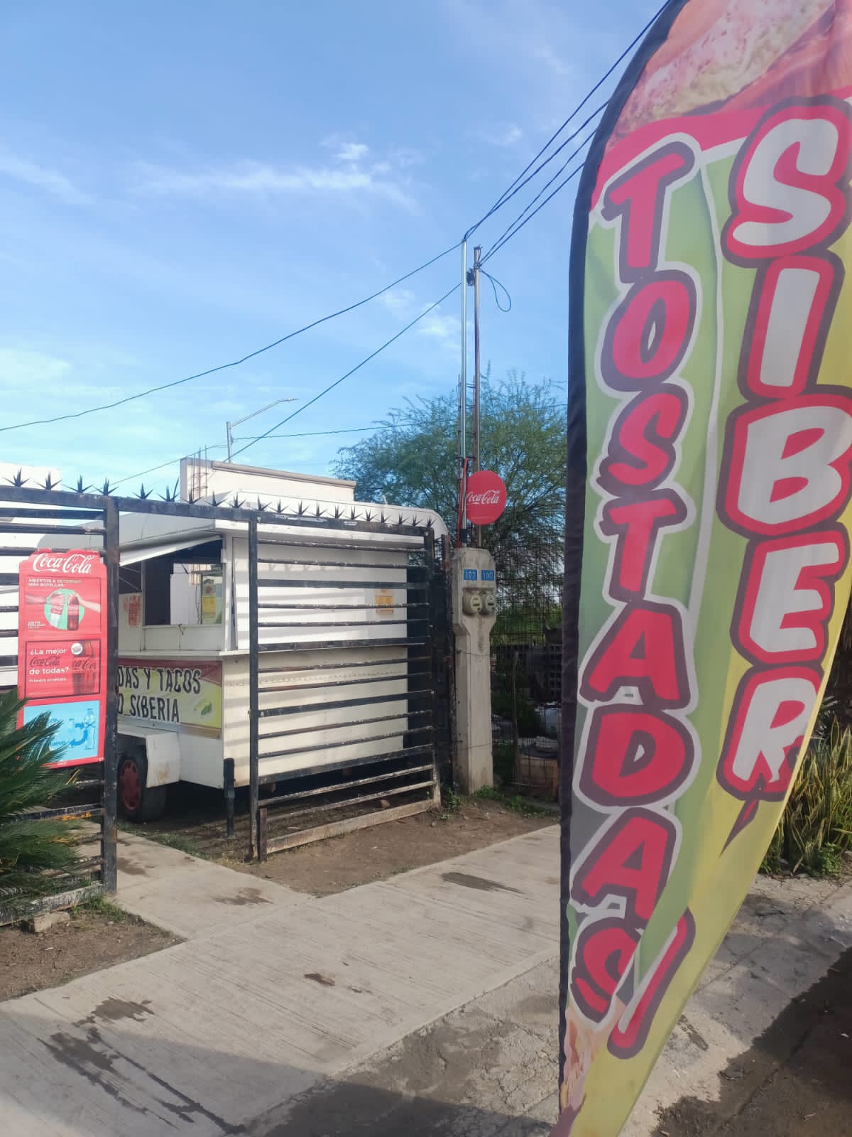 EL TIO REGIO tostadas y tacos tipo siberia image 5