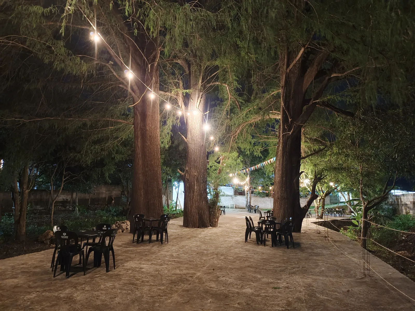 Bambú Terraza-Café image 9