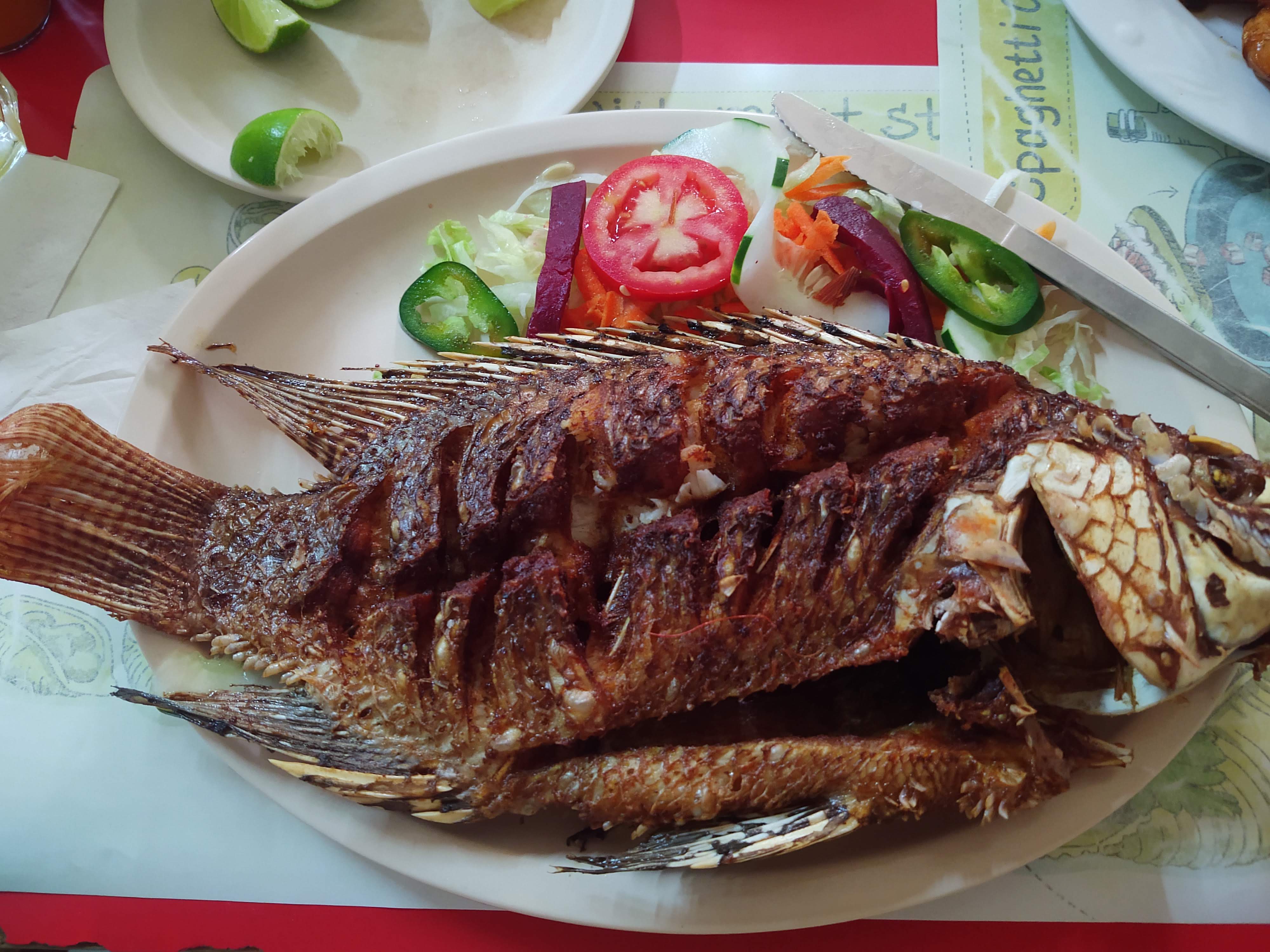 [5 de Mayo] Restaurant image 6