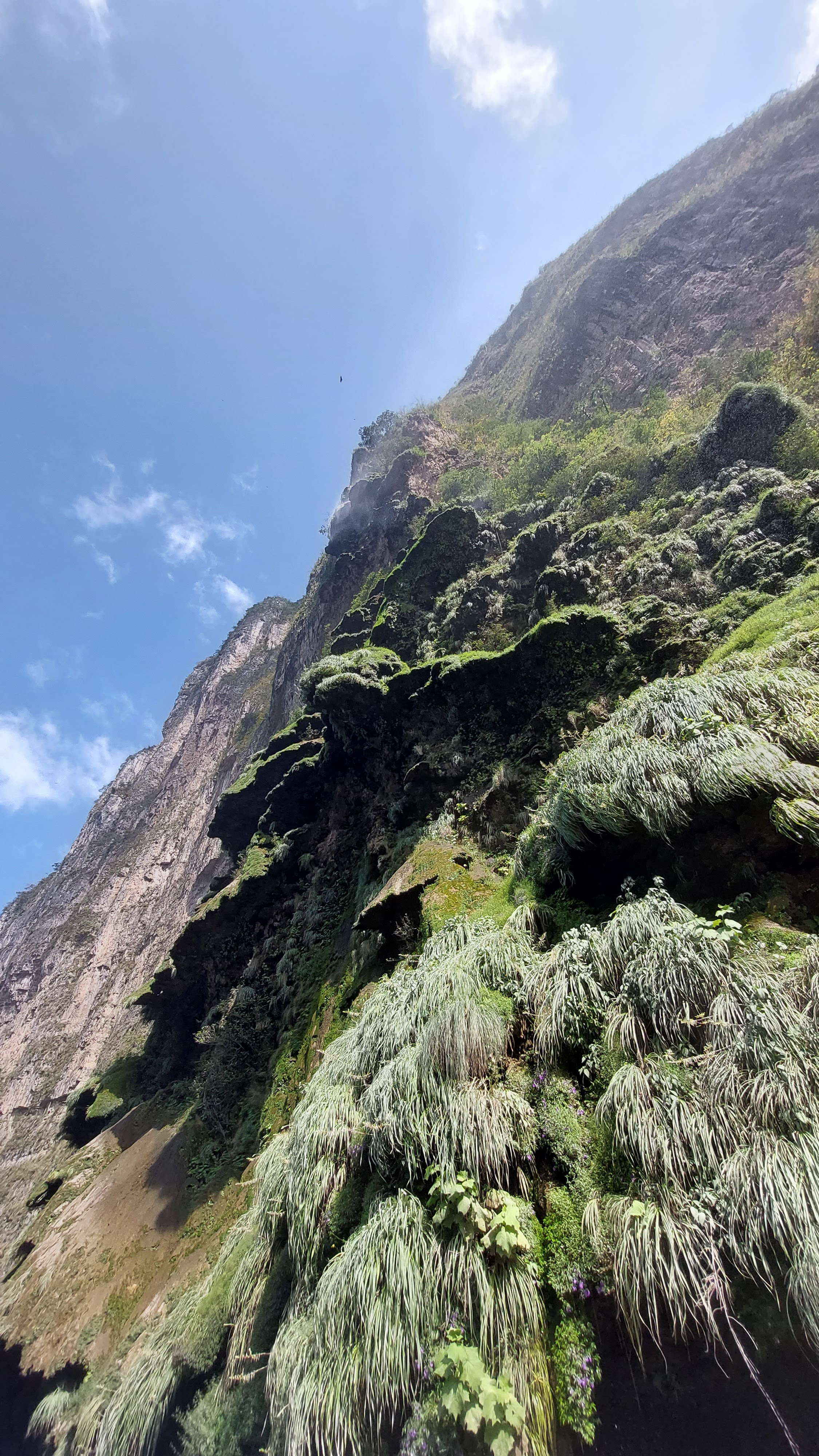 Restaurante La Bahia 2 image 9