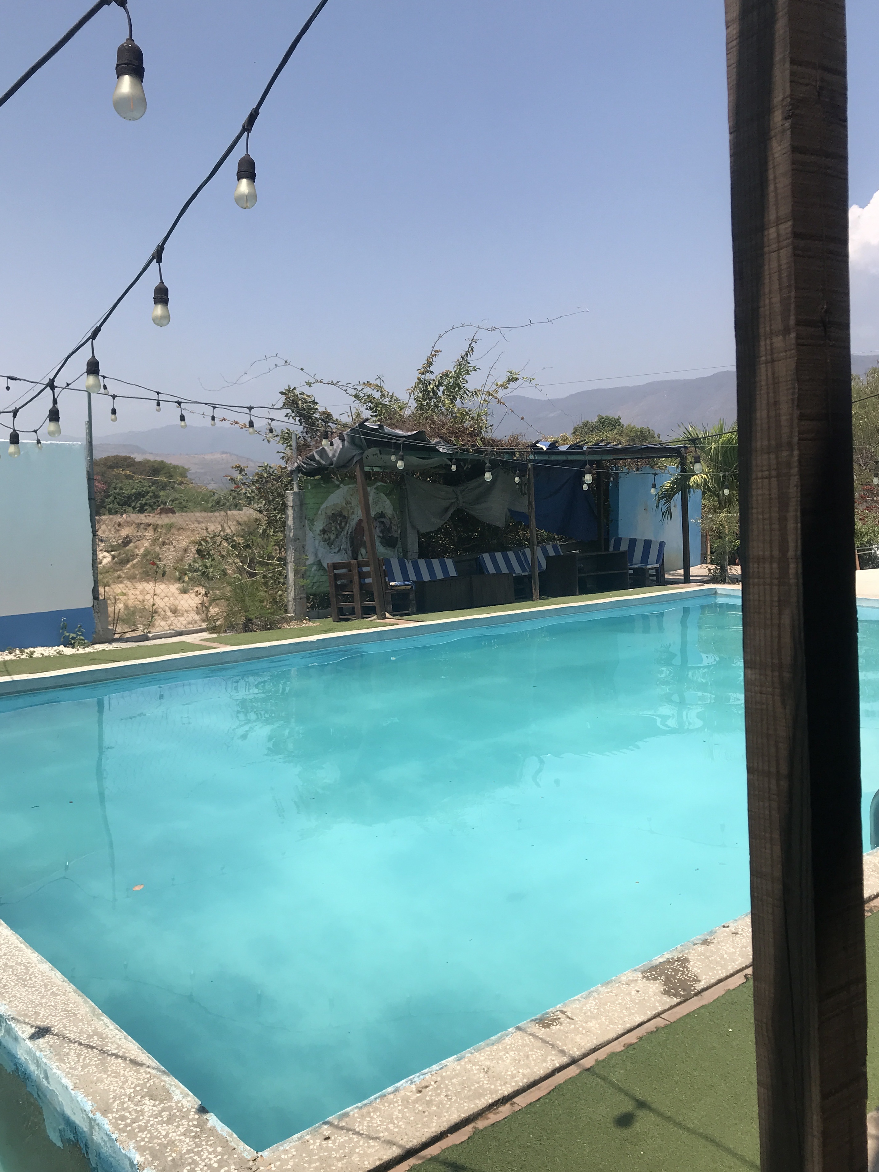 restaurant viva chiapa image 7