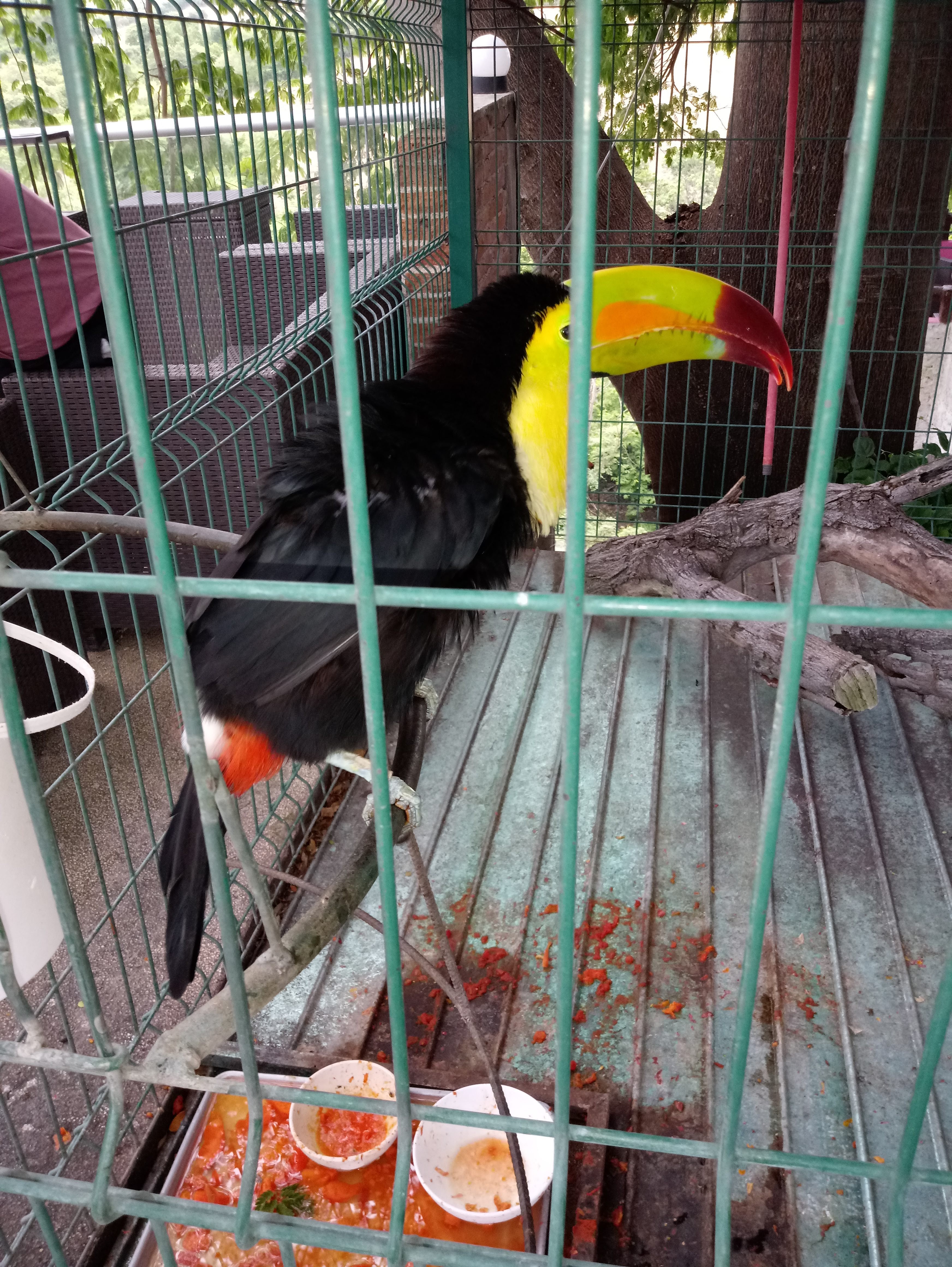 Los Caracoles Restaurante & Grill image 4