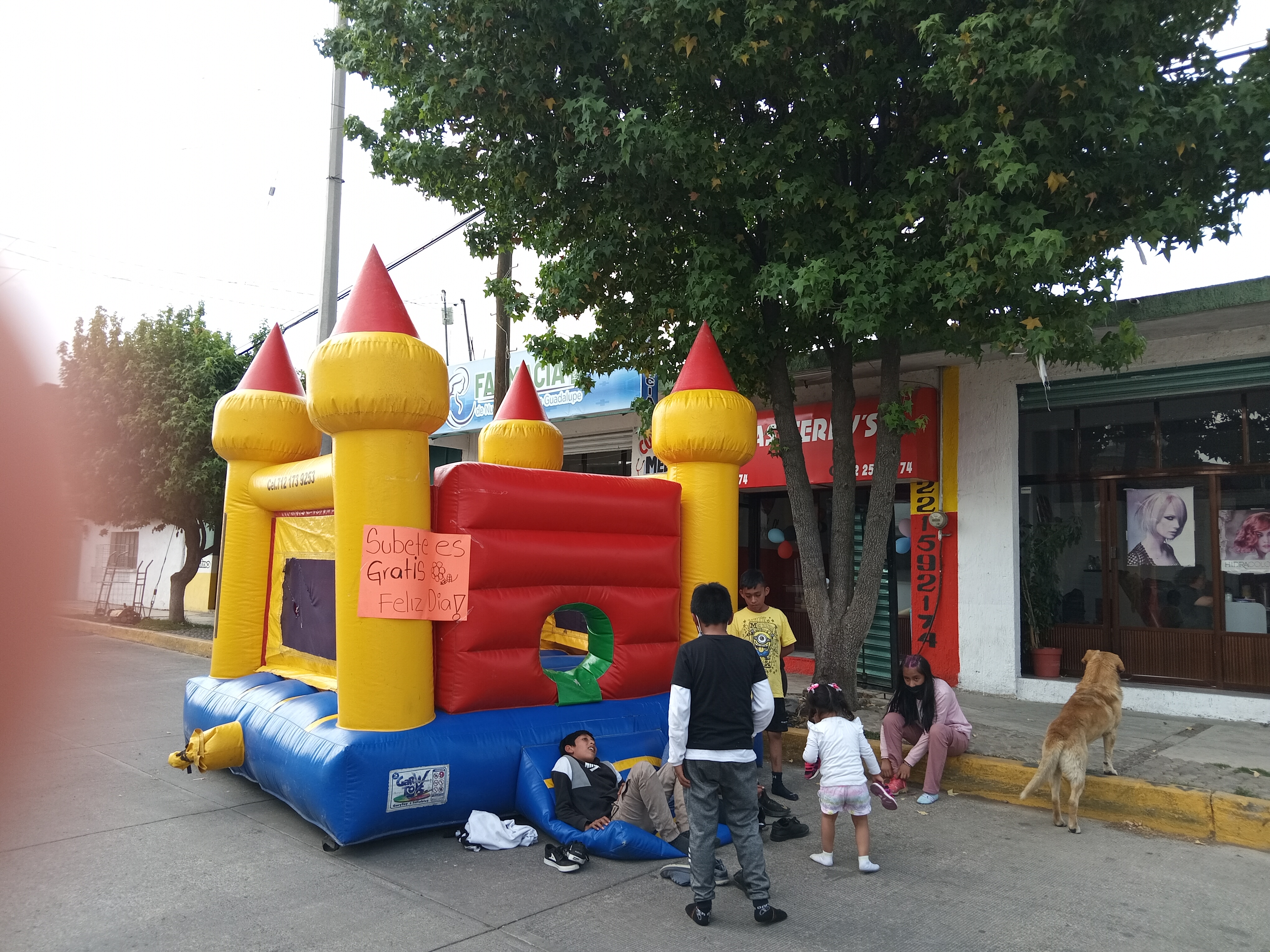 Terri's pizza image 7