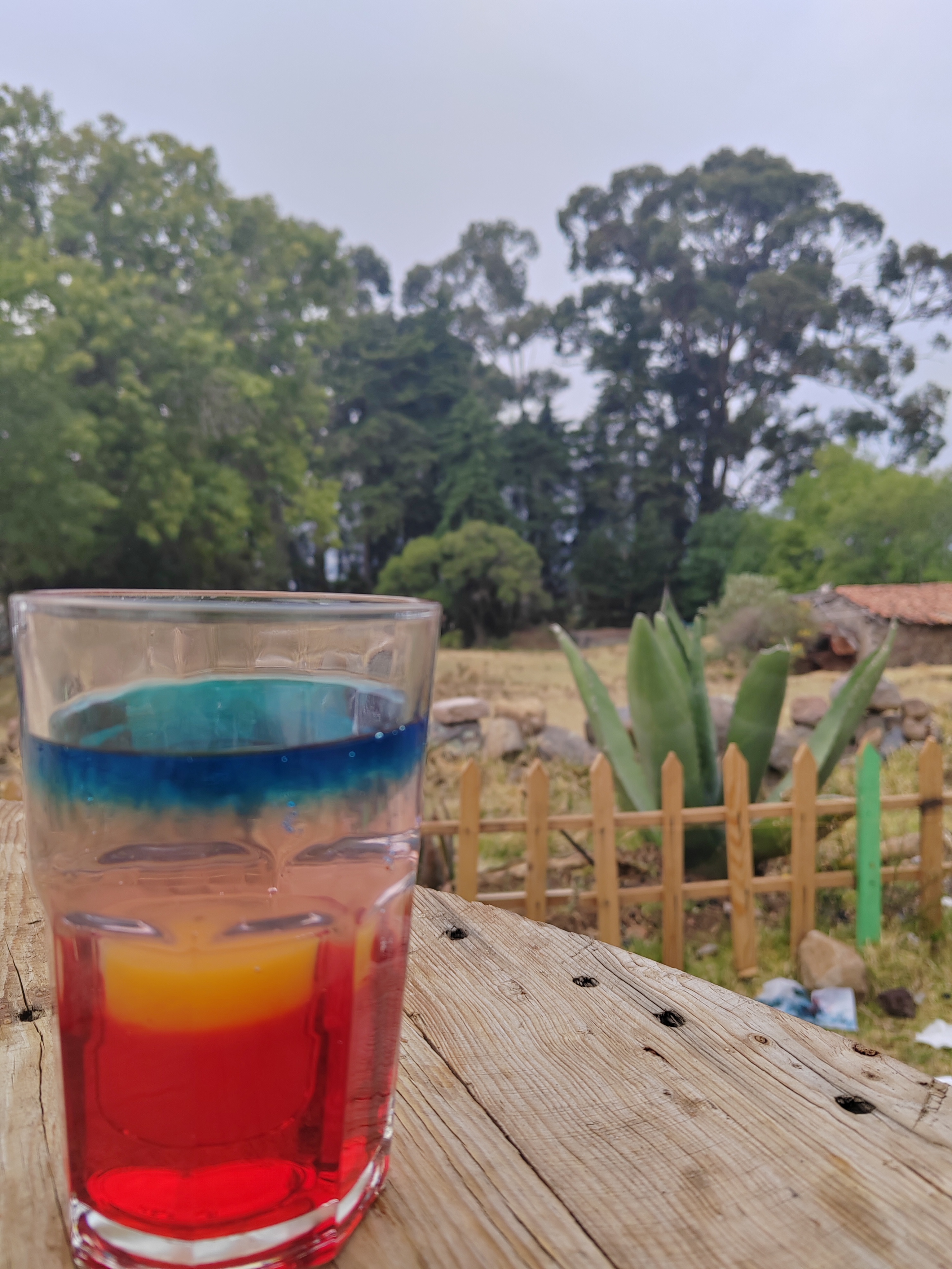 Pajaretes El Tío José image 5