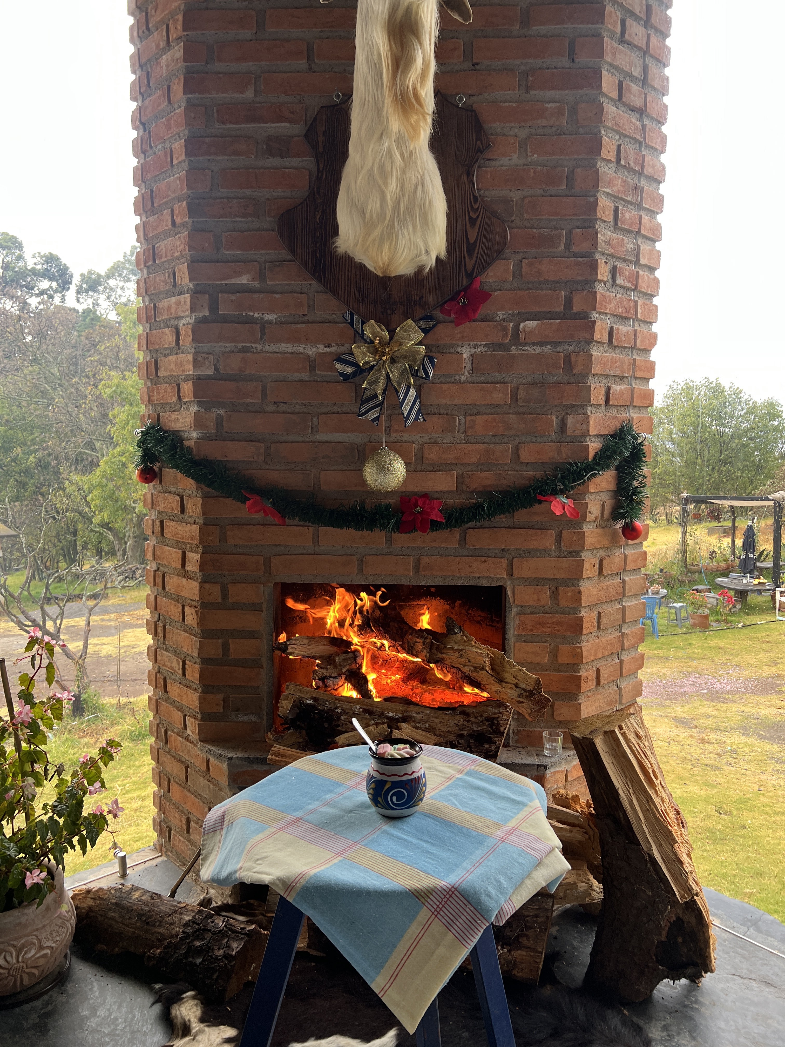 Pajaretes El Tío José image 9