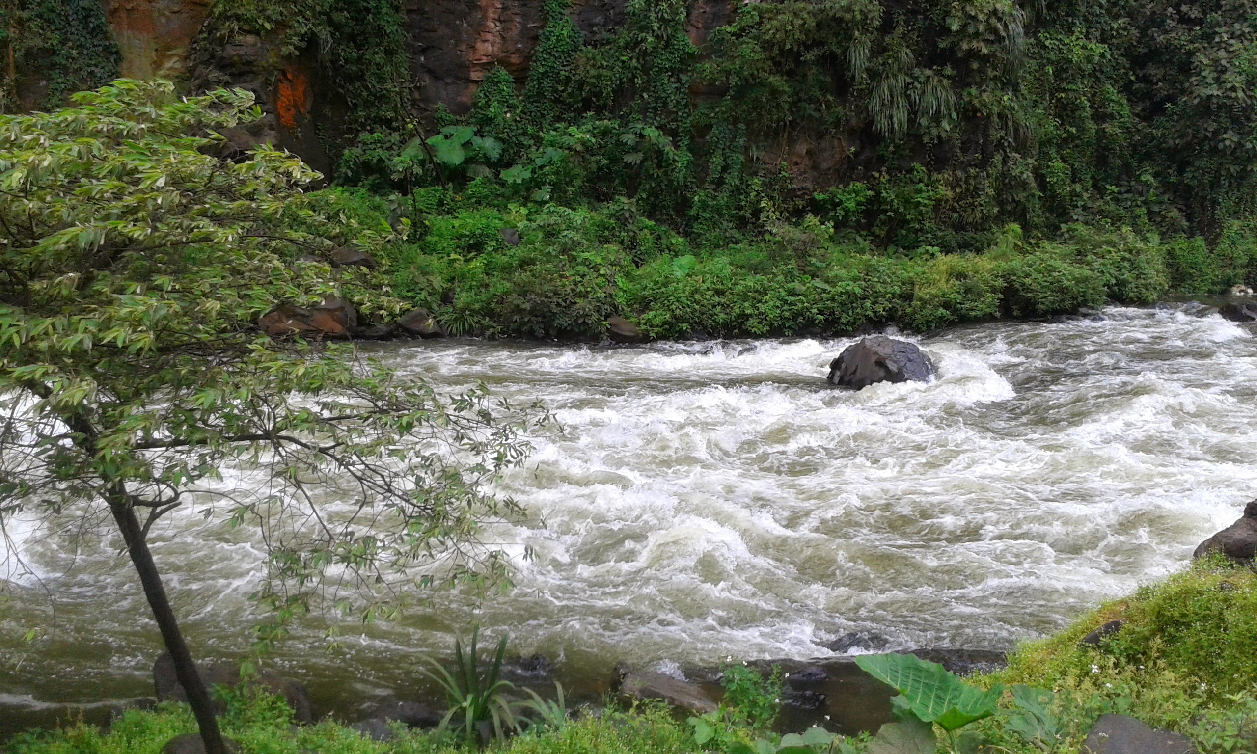 Restaurant Sazón Veracruzano image 4